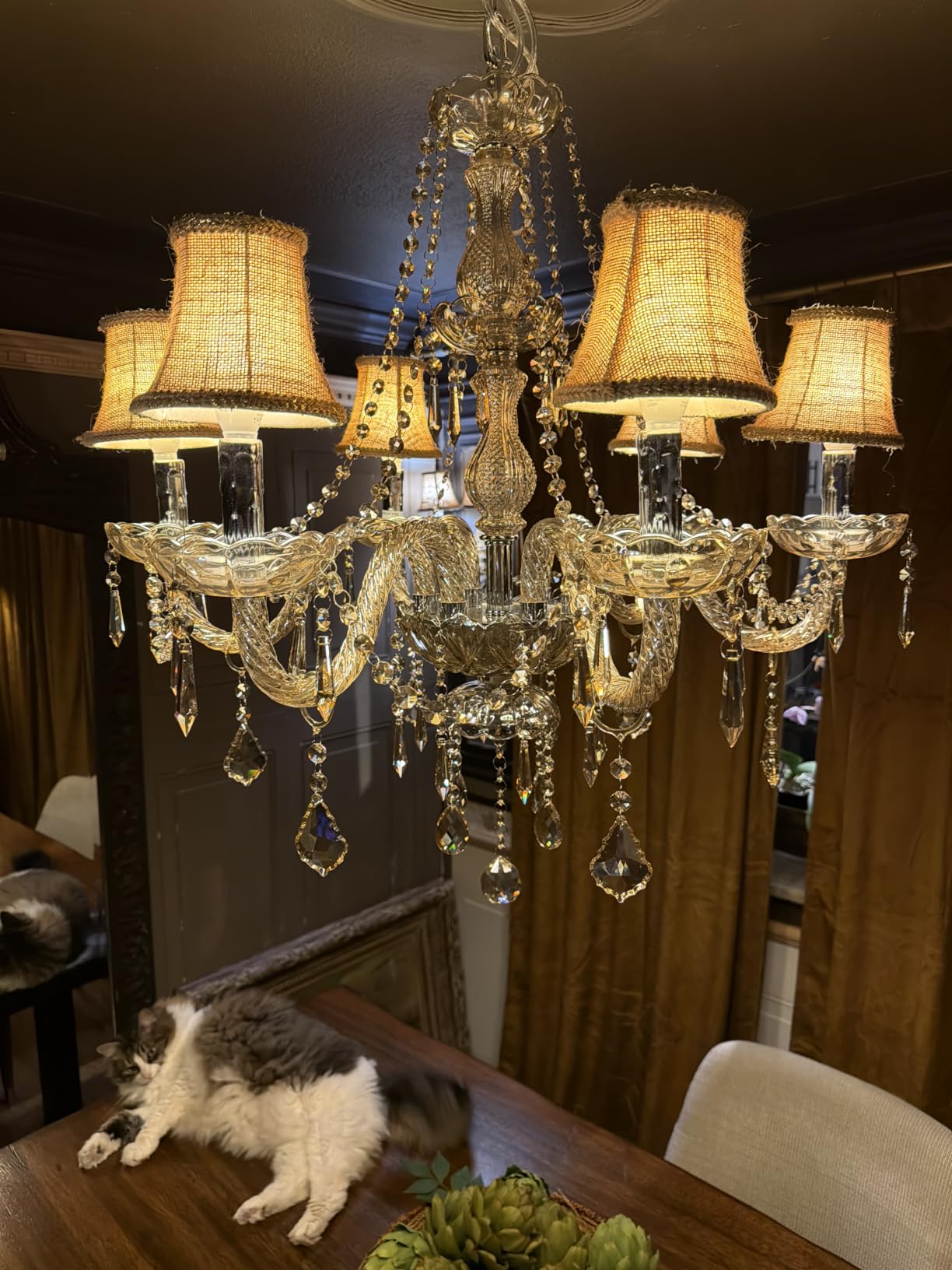 Gorgeous Vintage Crystal Chandelier 12-Lights K9 Large Crystal Candle Chandelier Pendant Ceiling Light Fixture for Living Room Dining Room Hallway Entry Chandeliers customer photo 1