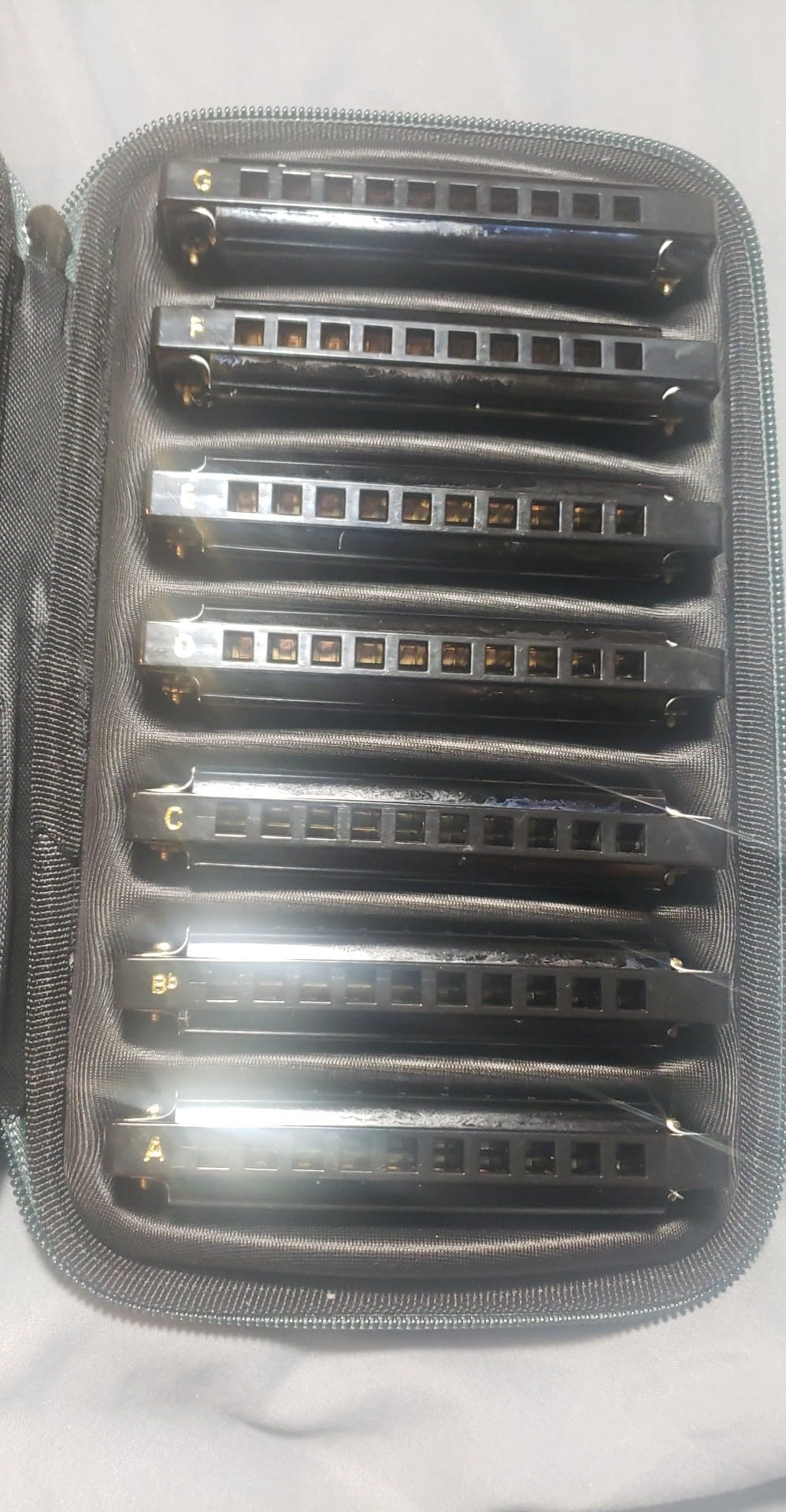 EASTROCK 10 Hole Blues Harmonica Set of 7 with Case C D E F G A Bb Key | Diatonic harmonica Mouth Organ Harp Phosphor Bronze Reeds and Metal Cover Plate for Adults Beginner Professional customer photo 1