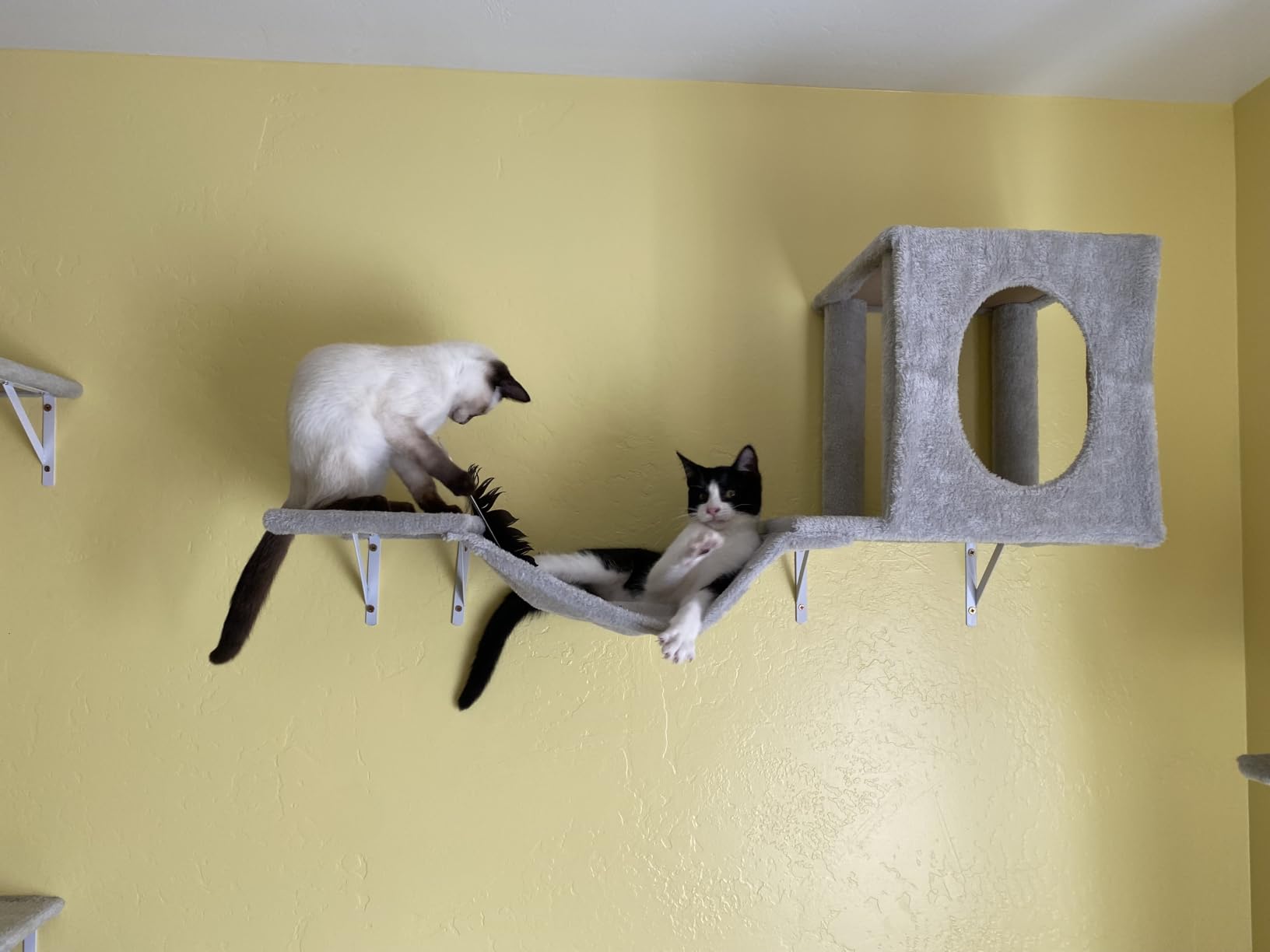 NUNU LAB Cat Wall Shelves, 6 Pcs Luxury Wall-Mounted Cat Climber Set, Dark Gray customer photo 1