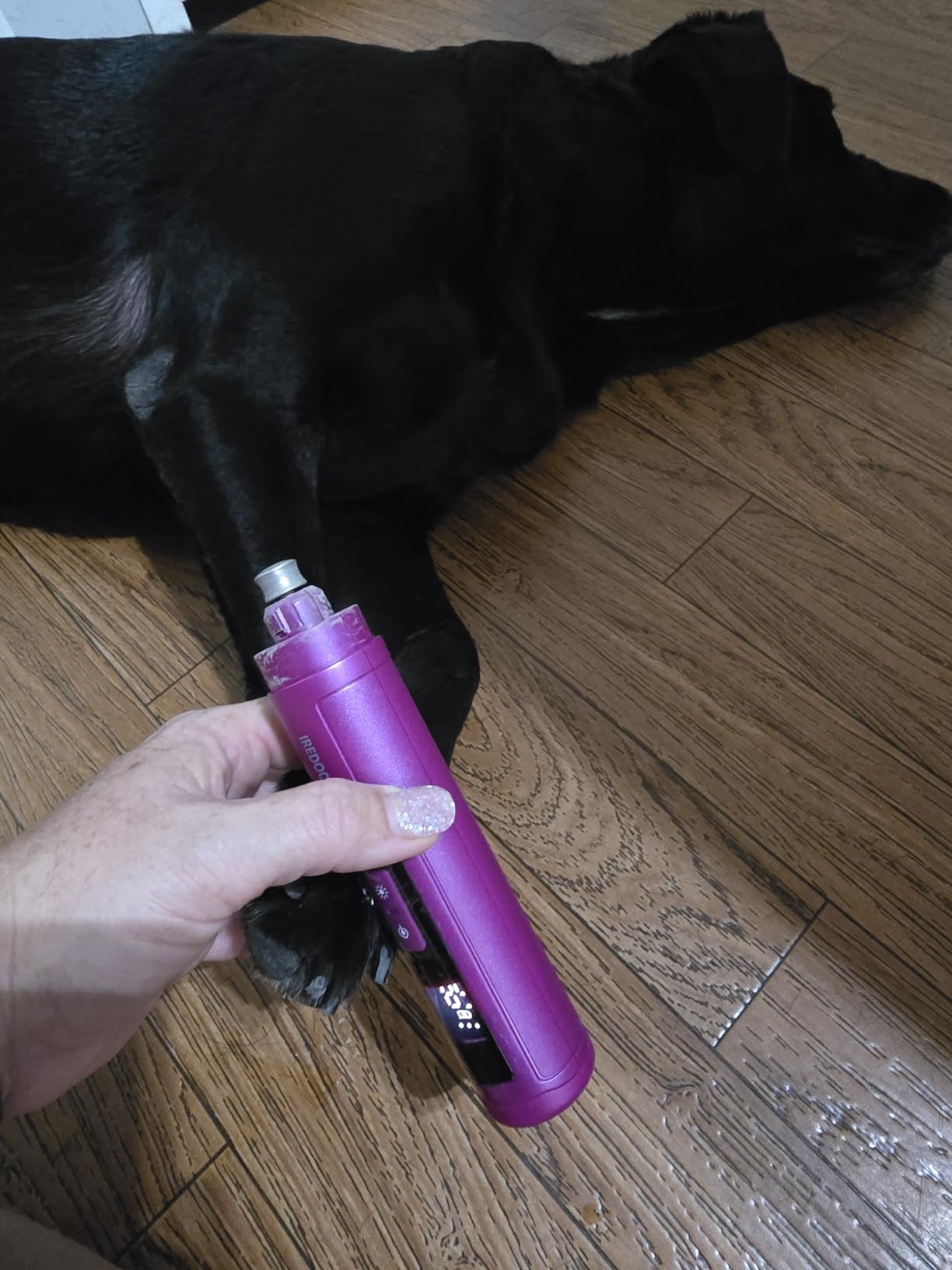 IREDOON Dog Nail Grinder with 4 LED Lights, 3 Speeds Super Quiet for Pets customer photo 1