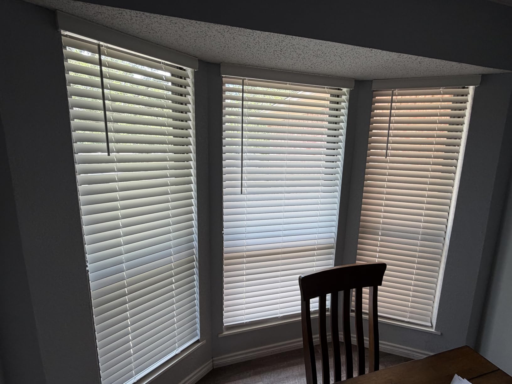 LOTUS & WINDOWARE Cordless Faux Wood Blinds, 23
