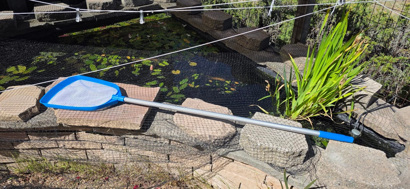 TidyMister Pool Skimmer Hot Tub Skimmer Spa Net with 12'' Aluminum Pole Ultra Fine Mesh Pool Net Accessories Leaf Skimmer for Small Pools Fine Debris customer photo 1
