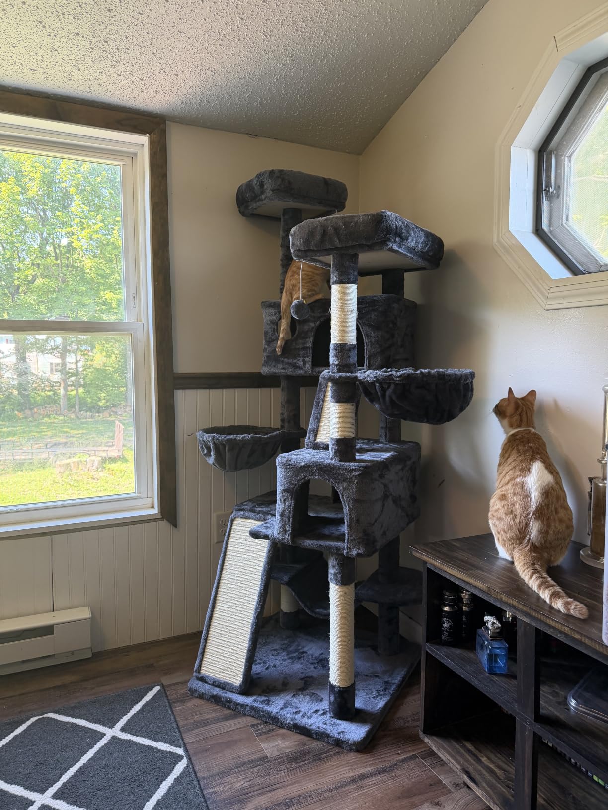 SHA CERLIN 65in Larger Cat Tree Tower Condo for Indoor Kitties/Multi-Level Furniture Activity Center with Wide Base/Cozy Plush Cat Perches/Baskets/Sisal Scratching Posts and Hammock/Beige customer photo 1