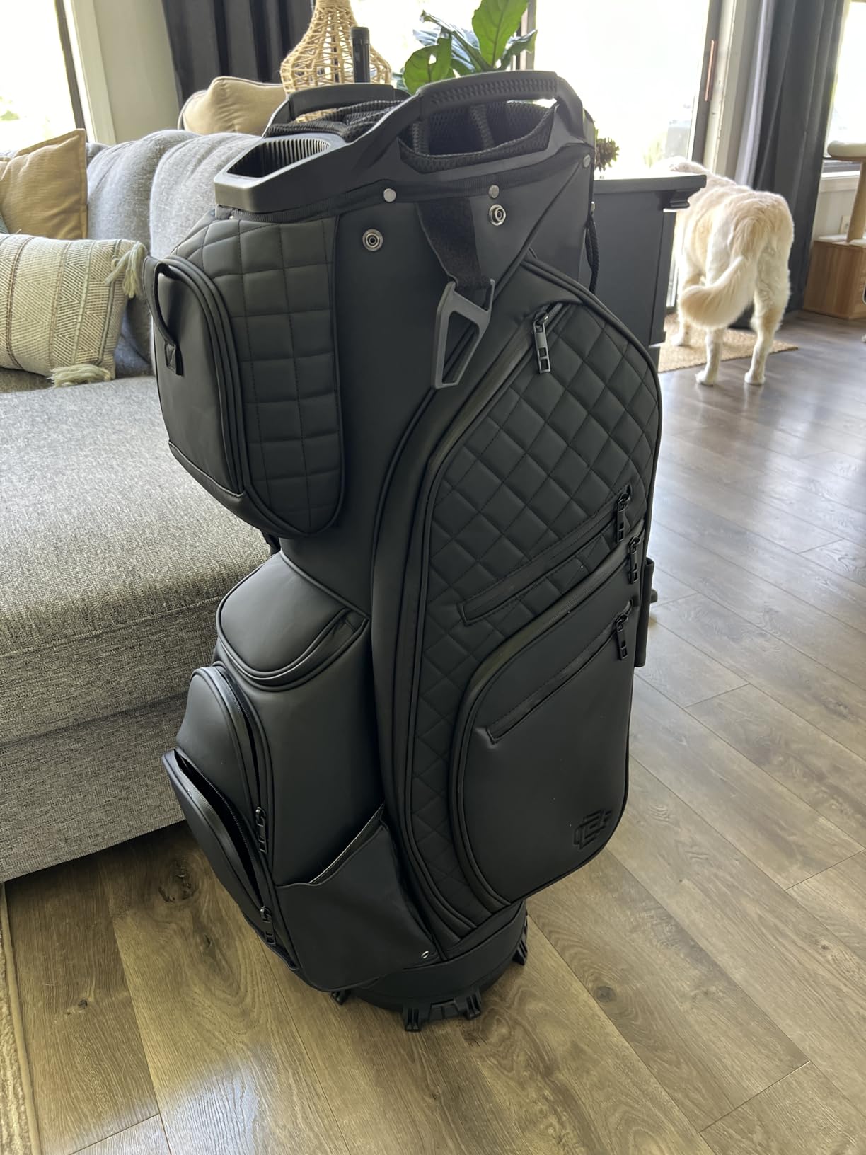 14 Way Golf Cart Bag - Premium Lightweight Cart Golf Bag with Full Length Dividers, 12 Pockets, Cooler Pocket & Rain Hood by Detroit Golf Co. customer photo 1