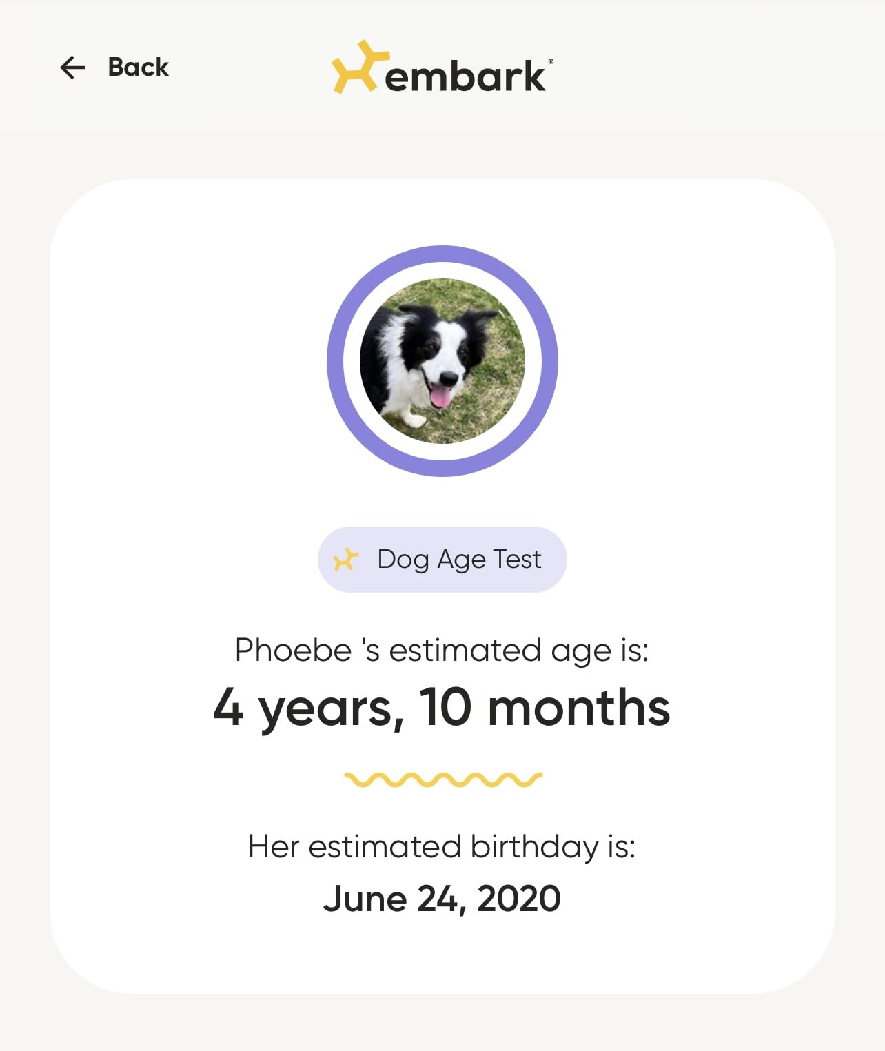 Embark Dog Age Test Kit - Estimates Dog's Age & Birthday from DNA | DNA age test for dogs using methylation science customer photo 2