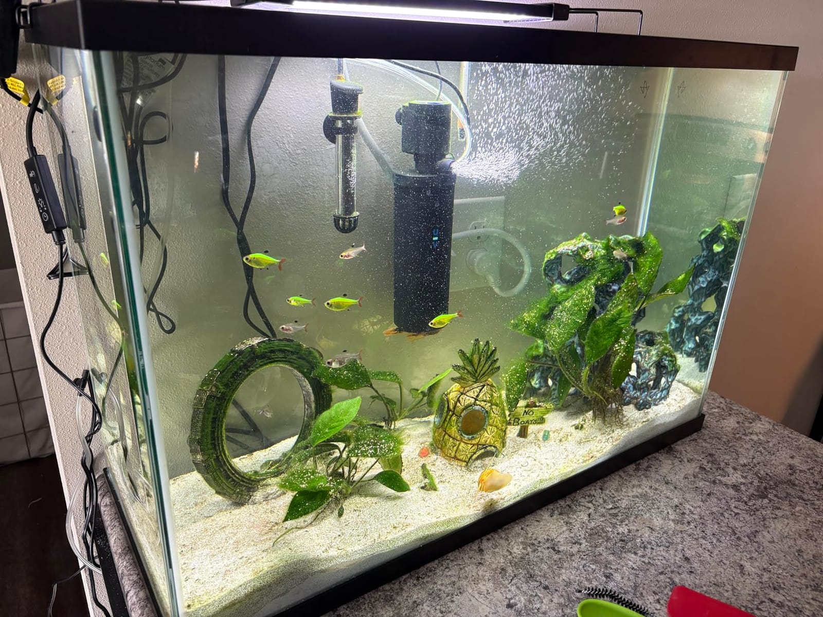 coospider-repta 200GPH Aquarium Filter, U-V for Aquarium for 20-75 Gal Tank, Submersible Pump Filter for Green Water and Algae Clean, Ultra-Silent Green Killing Machine with Fish Tank Deodorization customer photo 1