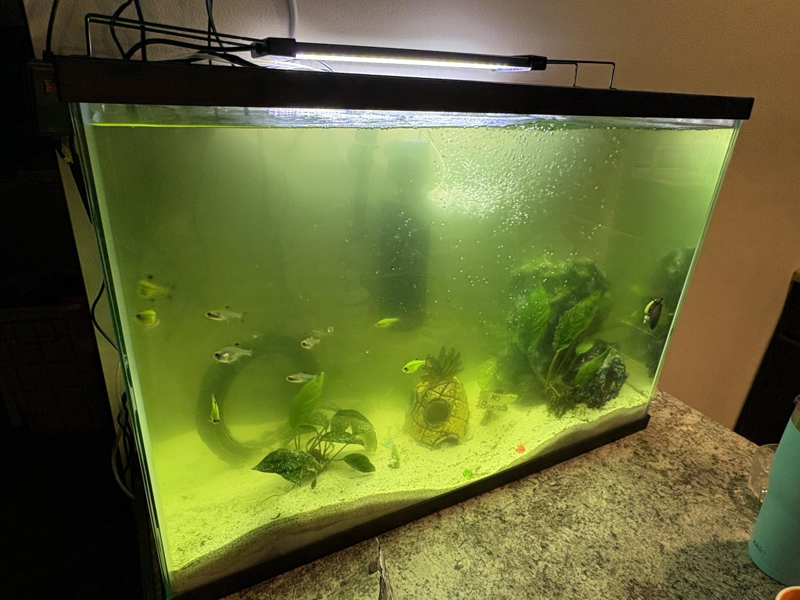 coospider-repta 200GPH Aquarium Filter, U-V for Aquarium for 20-75 Gal Tank, Submersible Pump Filter for Green Water and Algae Clean, Ultra-Silent Green Killing Machine with Fish Tank Deodorization customer photo 2