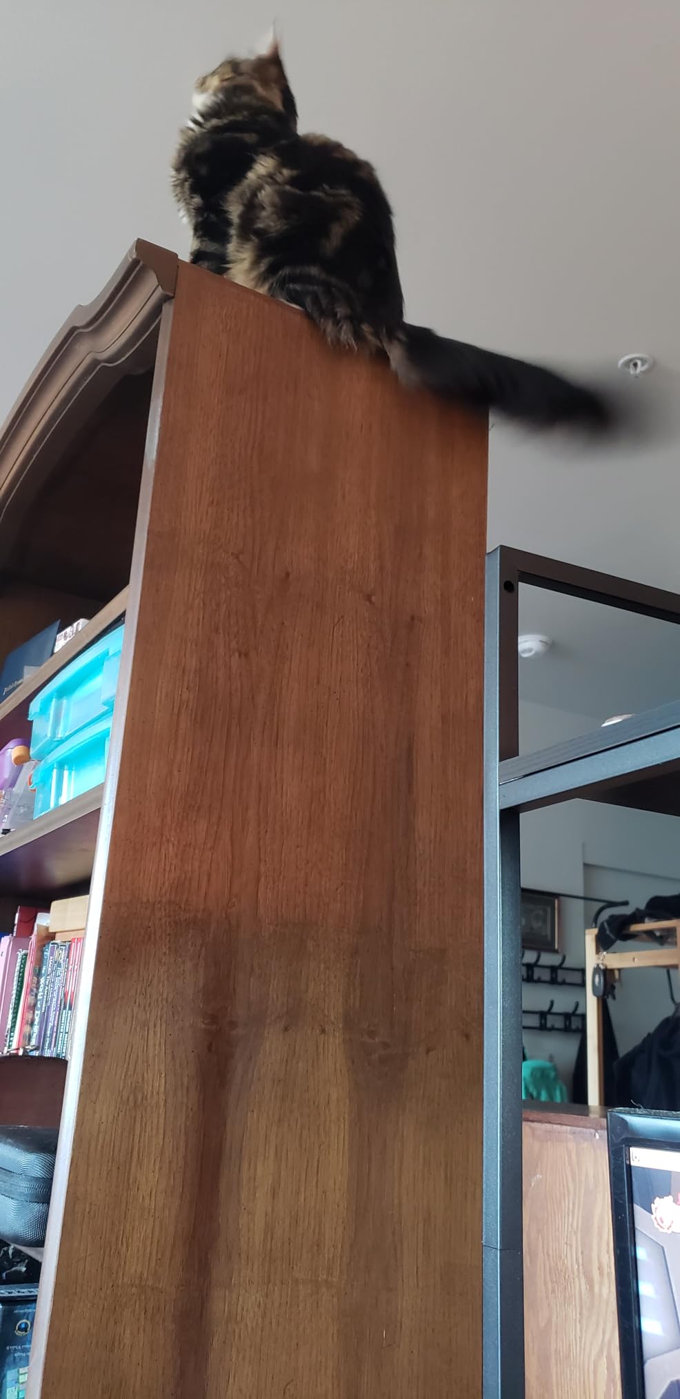 Snughome Desk Shelf, 38.6