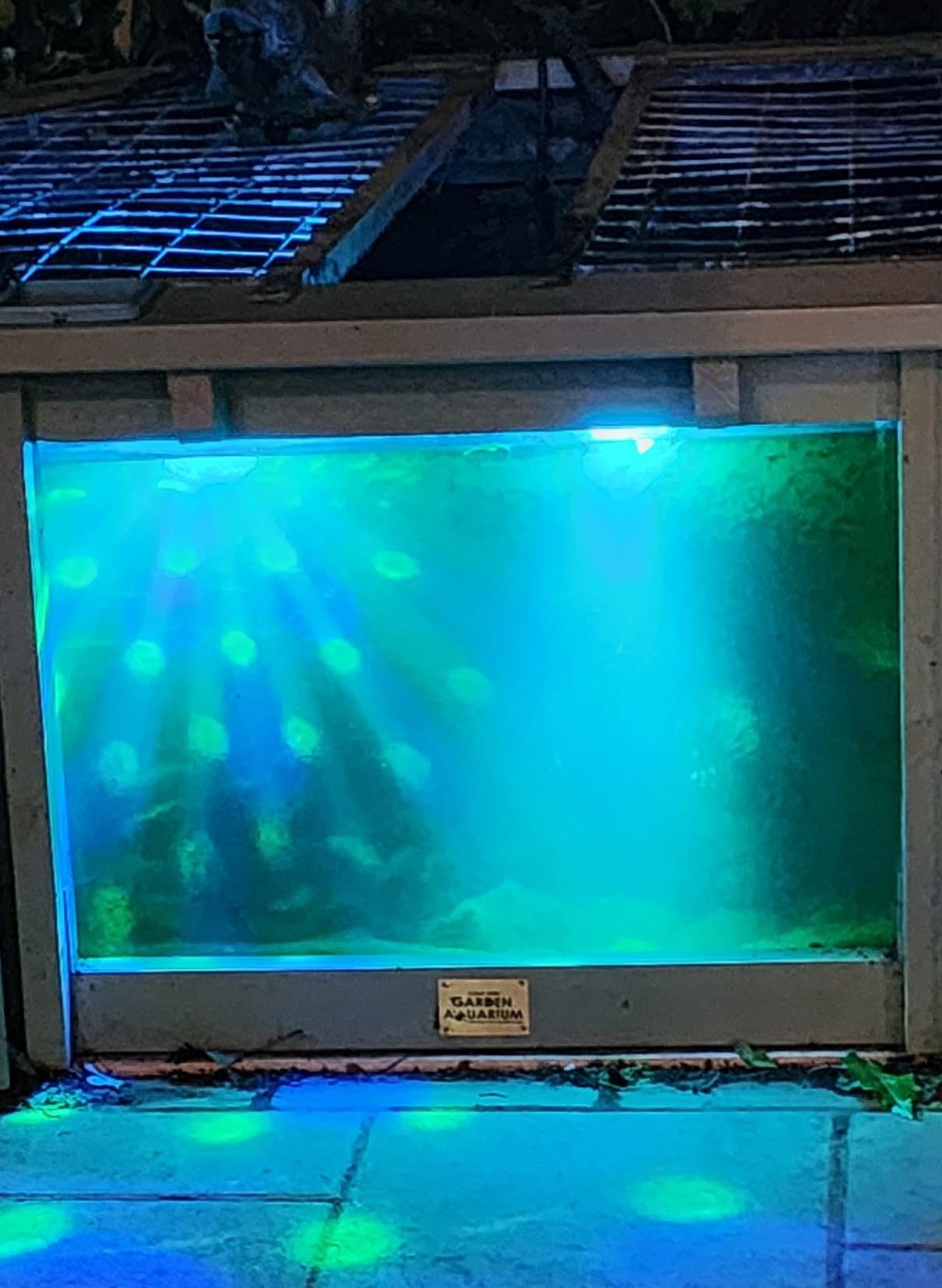 TEPENAR Rechargeable Floating Pool Lights: Remote Control Pool Lights that Float with 6 Dynamic Lighting IP68 Waterproof RGB Upper and Lower Floating Lights for Hot Tub Pool Garden Party 1 Pack customer photo 2