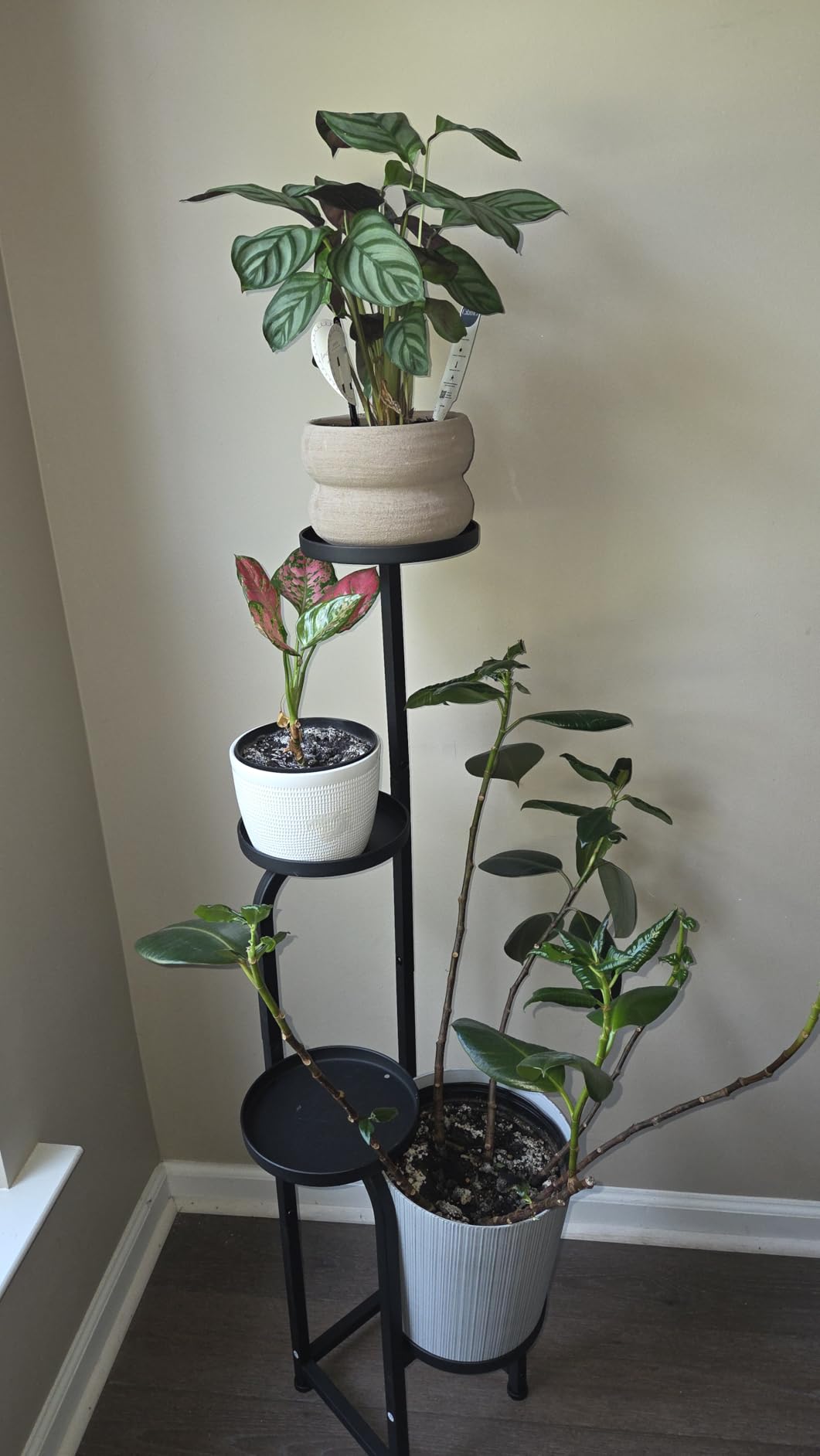 Bamworld Tall Plant Stand Indoor Outdoor Corner Metal Flower Pot Stands | 4 Tier Heavy Duty Plant Shelf for Multiple Plants Plant Table for Patio Garden Balcony Living Room Bedroom(Patent Design) customer photo 2