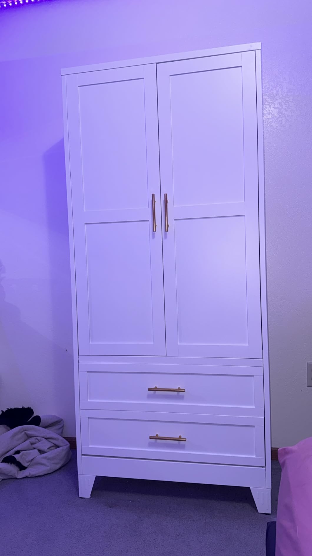 erosoei Metal Armoire Wardrobe Closet, 71