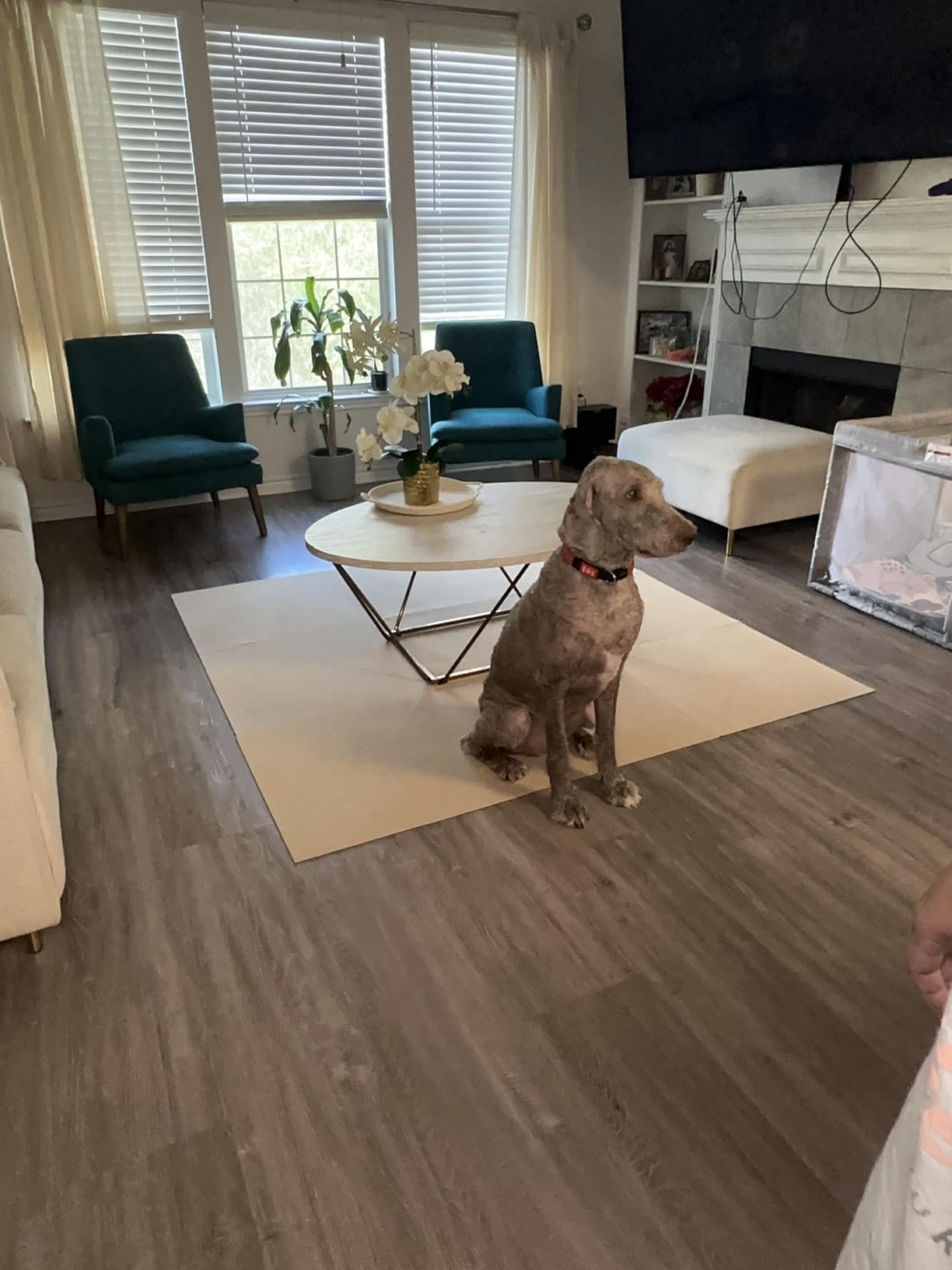 CUCOS Carpet Tiles 24