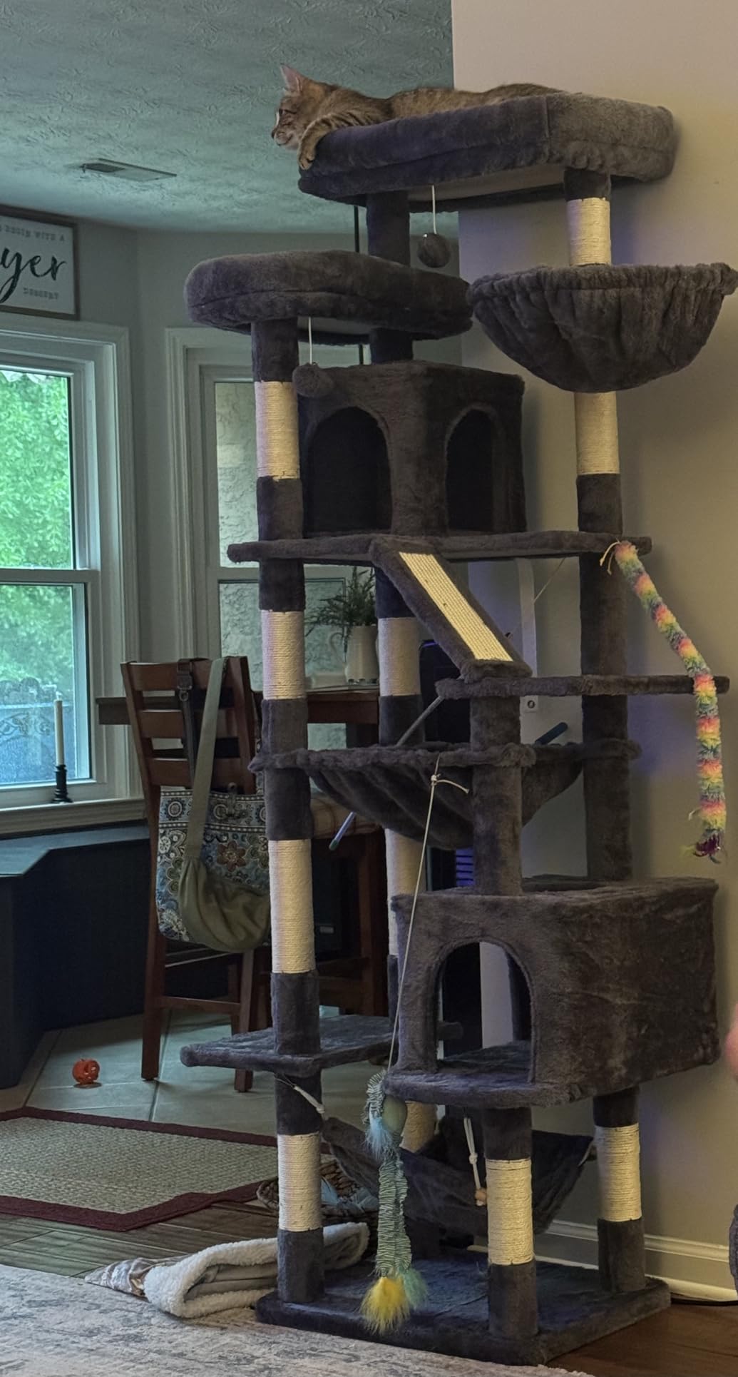 Heybly Cat Tree, 71-Inch-Tall Tower for Indoor Cats with 2 Perches, 2 Big Condos, 2 Hammocks, Basket, Scratching Pad, Large Cat Furniture and Condo, Smoky Gray HCT034G customer photo 1