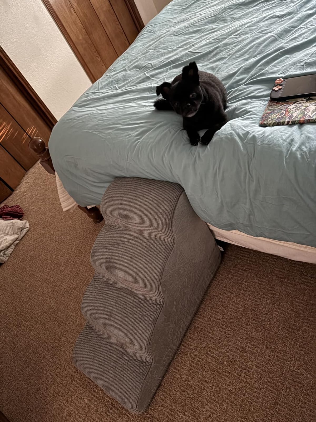 Ahpmeoa Dog Stairs for Small Dogs 19.7