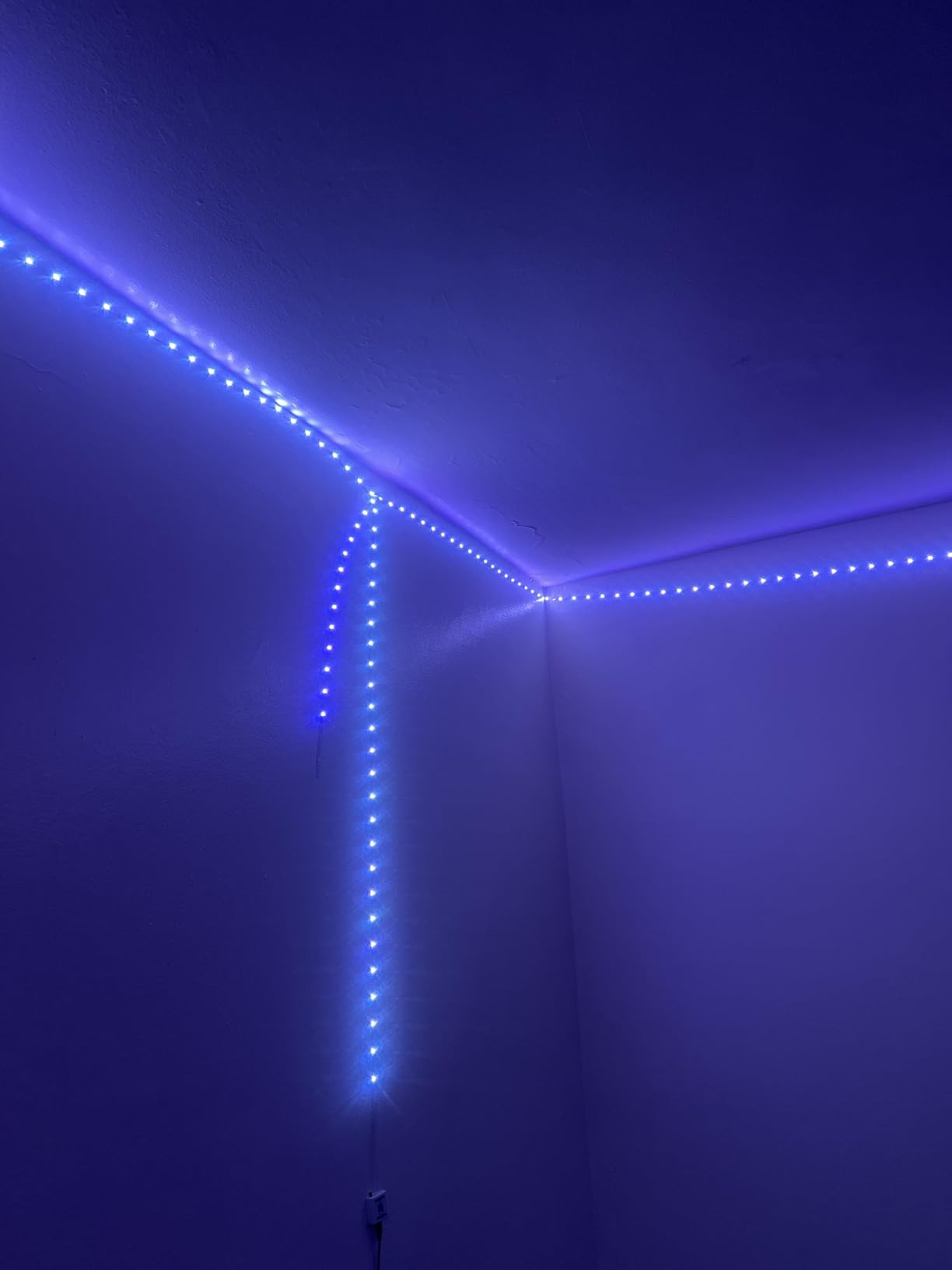 LED Lights for Bedroom, 65.6FT IC RGB LED Strip Lights, Smart Control | Color Changing, Multiple Colors Chasing Effects, APP & Remote Control, Timer Function, Music Sync Lights for Party, Kitchen customer photo 1