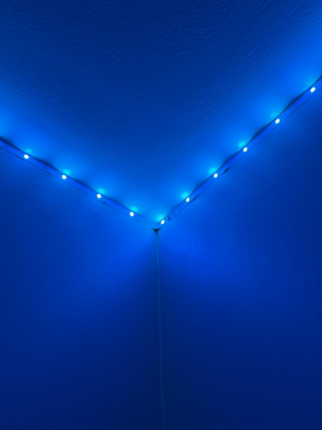 LED Lights for Bedroom, 65.6FT IC RGB LED Strip Lights, Smart Control | Color Changing, Multiple Colors Chasing Effects, APP & Remote Control, Timer Function, Music Sync Lights for Party, Kitchen customer photo 2