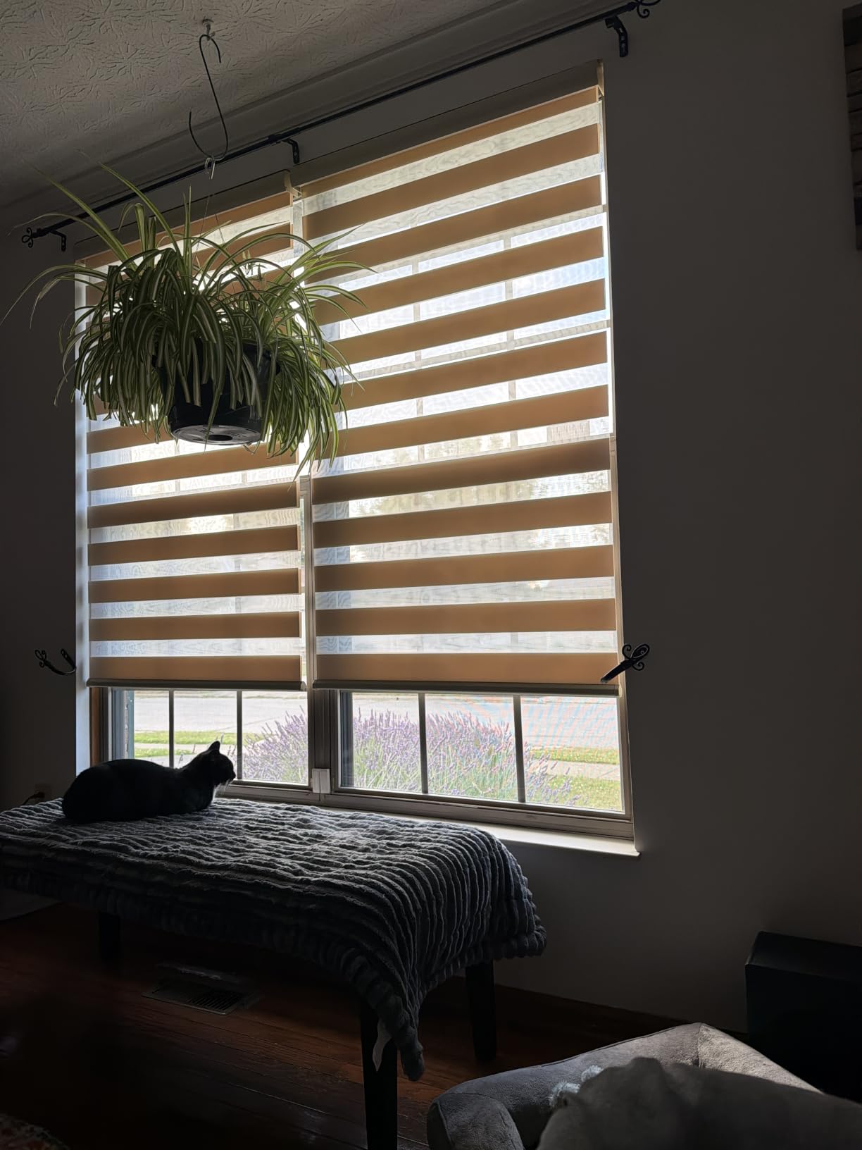 ChrisDowa Cordless Zebra Blinds for Windows, Light Filtering Roller Shades | 35
