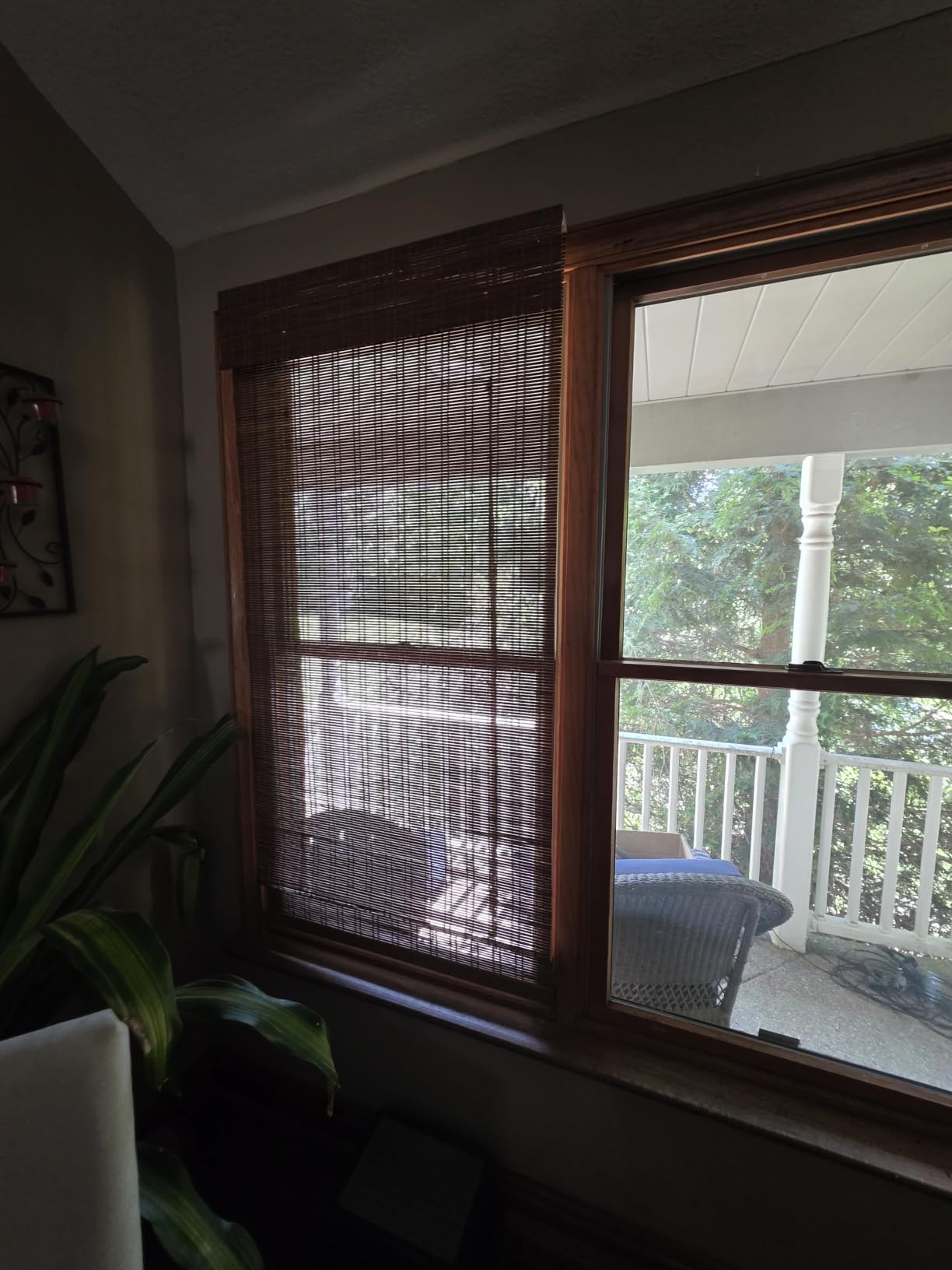 Calyx Interiors Bamboo Roman Shades w Valance 35