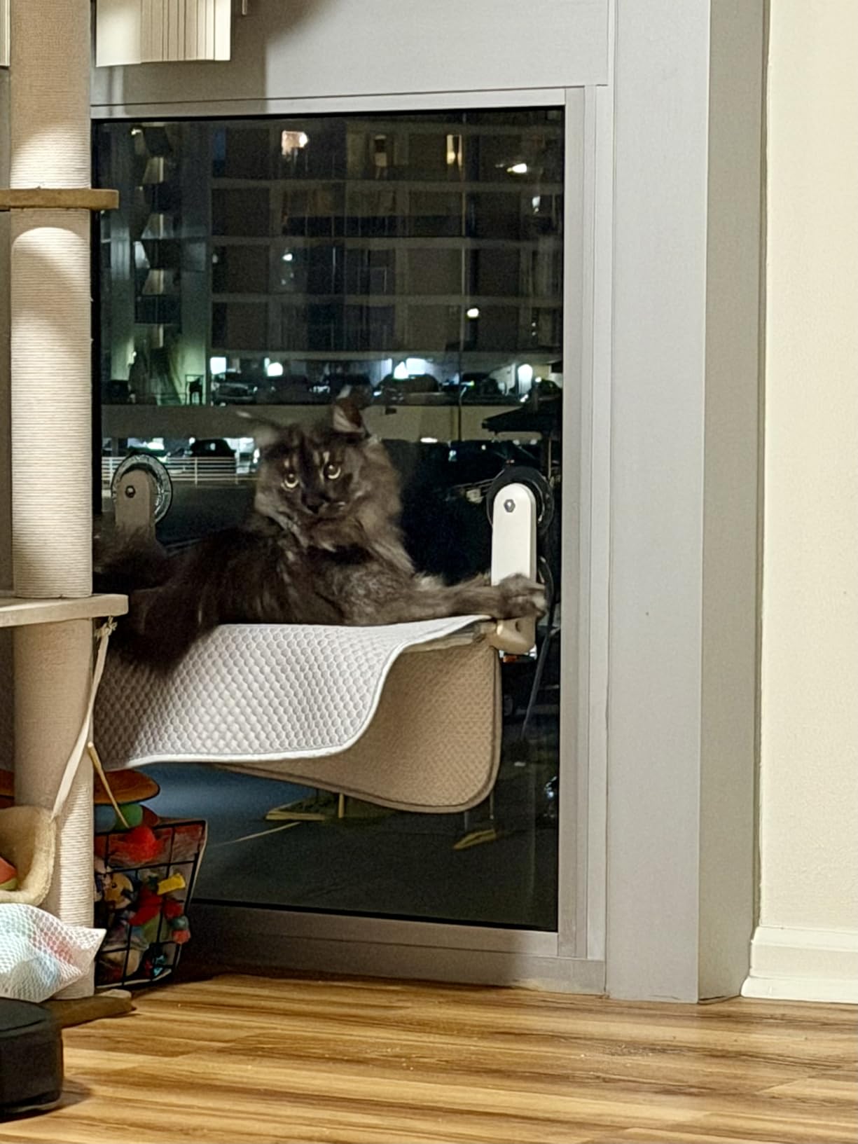Zoratoo 2PC Cat Window Perch, Foldable & Cordless with Metal Frame, M Gray | 2-in-1 Reversible Cover, Removable for Machine Wash, Stable Window Resting Seat with Large Suction Cups for Indoor Cats customer photo 1