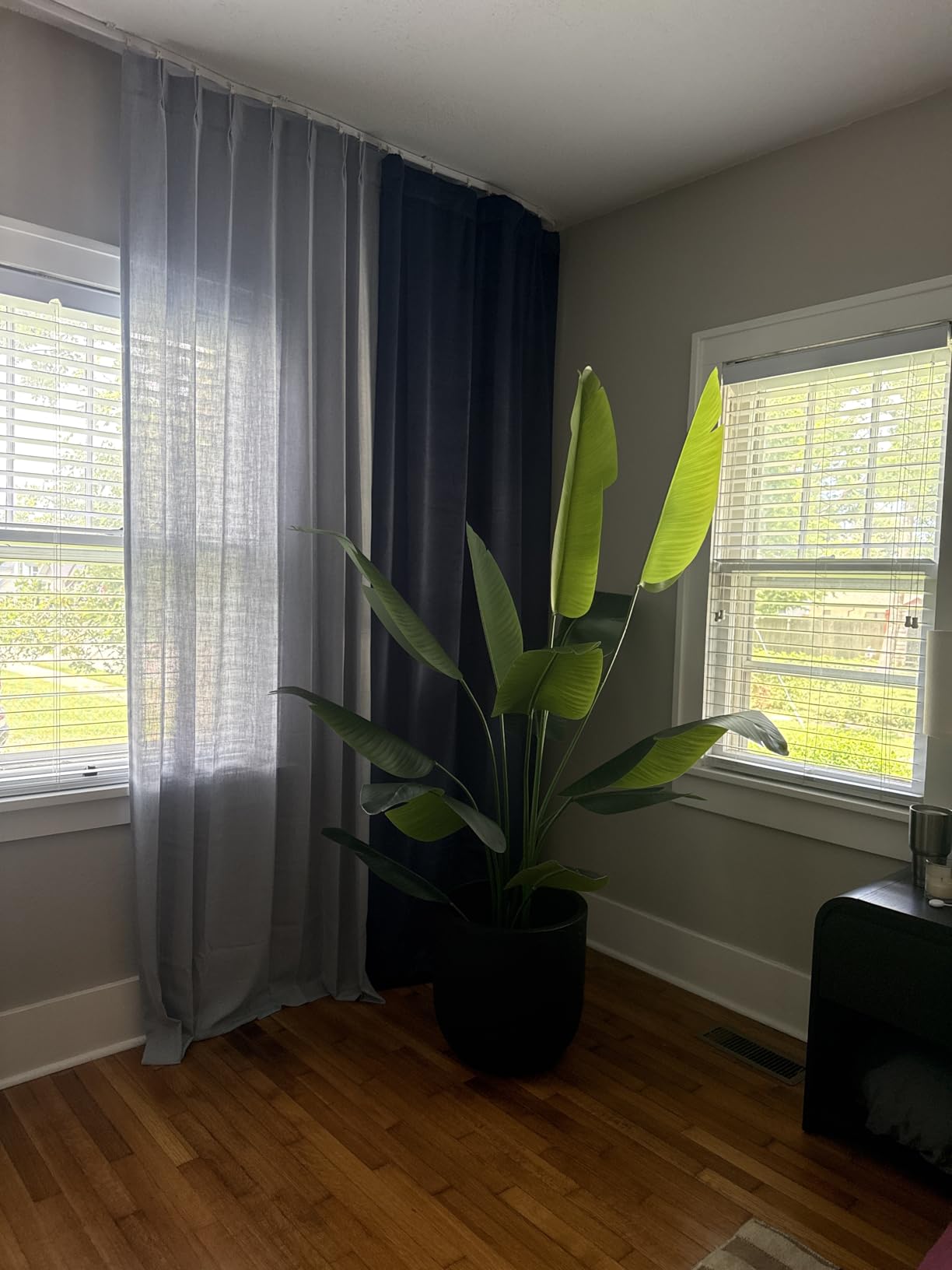 Bird of Paradise Plant Artificial 6ft, Faux Plants Indoor Tall with 12 Trunks - The Perfect Indoor Silk Floor Plant for Home Decor in Living Room, Office, and Bedroom (6FT Bird of Paradise) customer photo 1