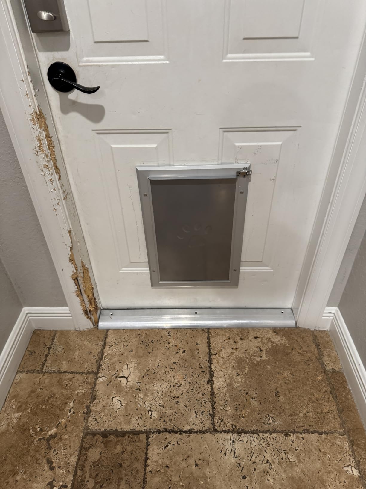 [Petoasis] 3-Flaps Heavy-Duty Dog Door for Wall, Rustproof Aluminum Frame | Energy-Efficient, Thick Flaps Block Wind Snow Rain Intrusion in Extreme Weather (Silvery White, Large for Wall) customer photo 2