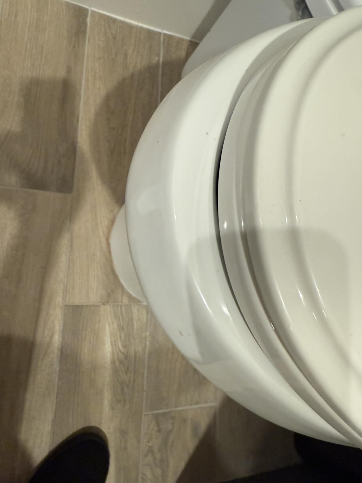 19 Inch High Toilet, Los Flexi ADA & Elongated Extra Tall Toilet for Seniors, Comfort Height Two-Piece Toilet With Soft-Close Seat, 12