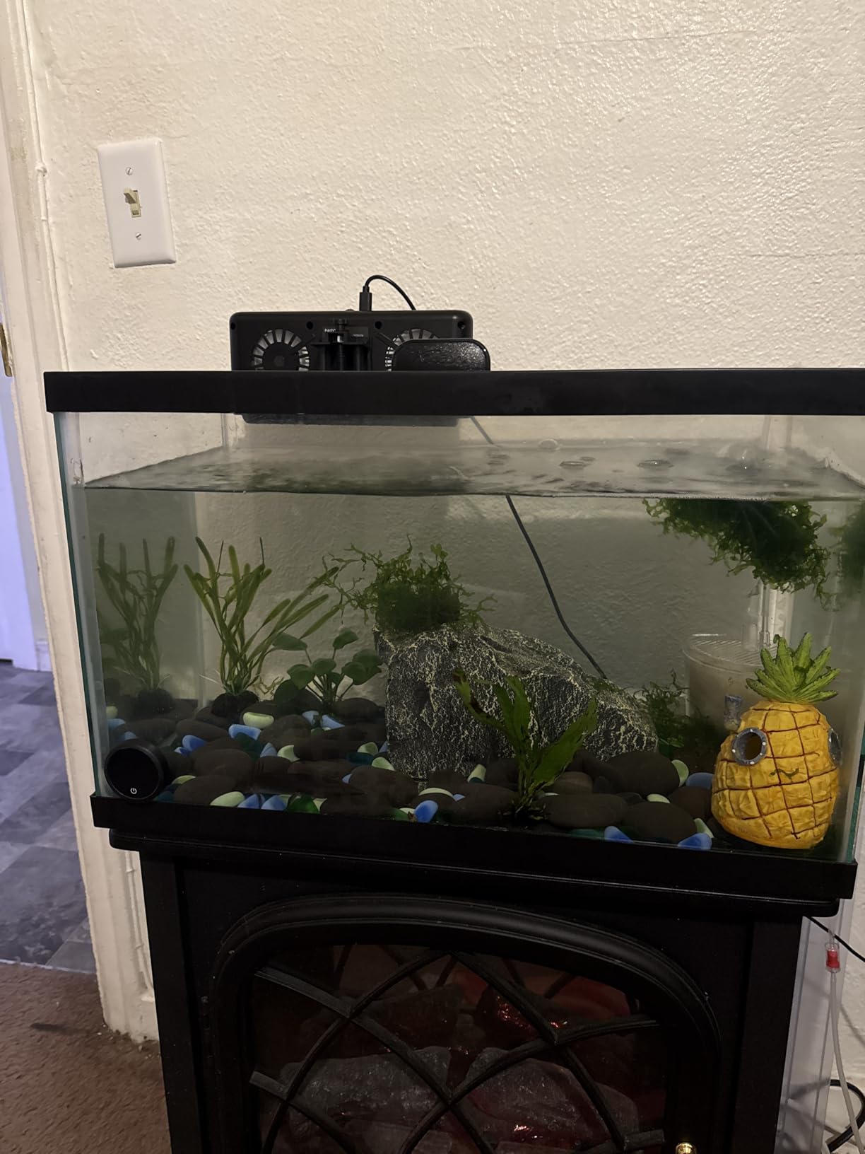 PAIZOO Aquarium Chiller Fan, Ultra-Quiet Fish Tank Cooler with 3 Speed Mode | Effective Cooling 3-7F, Max Wind Speed 10ft/s, Fish Tank Cooling Fan for Axolotl Tank Accessories Freshwater Saltwater Tanks customer photo 1