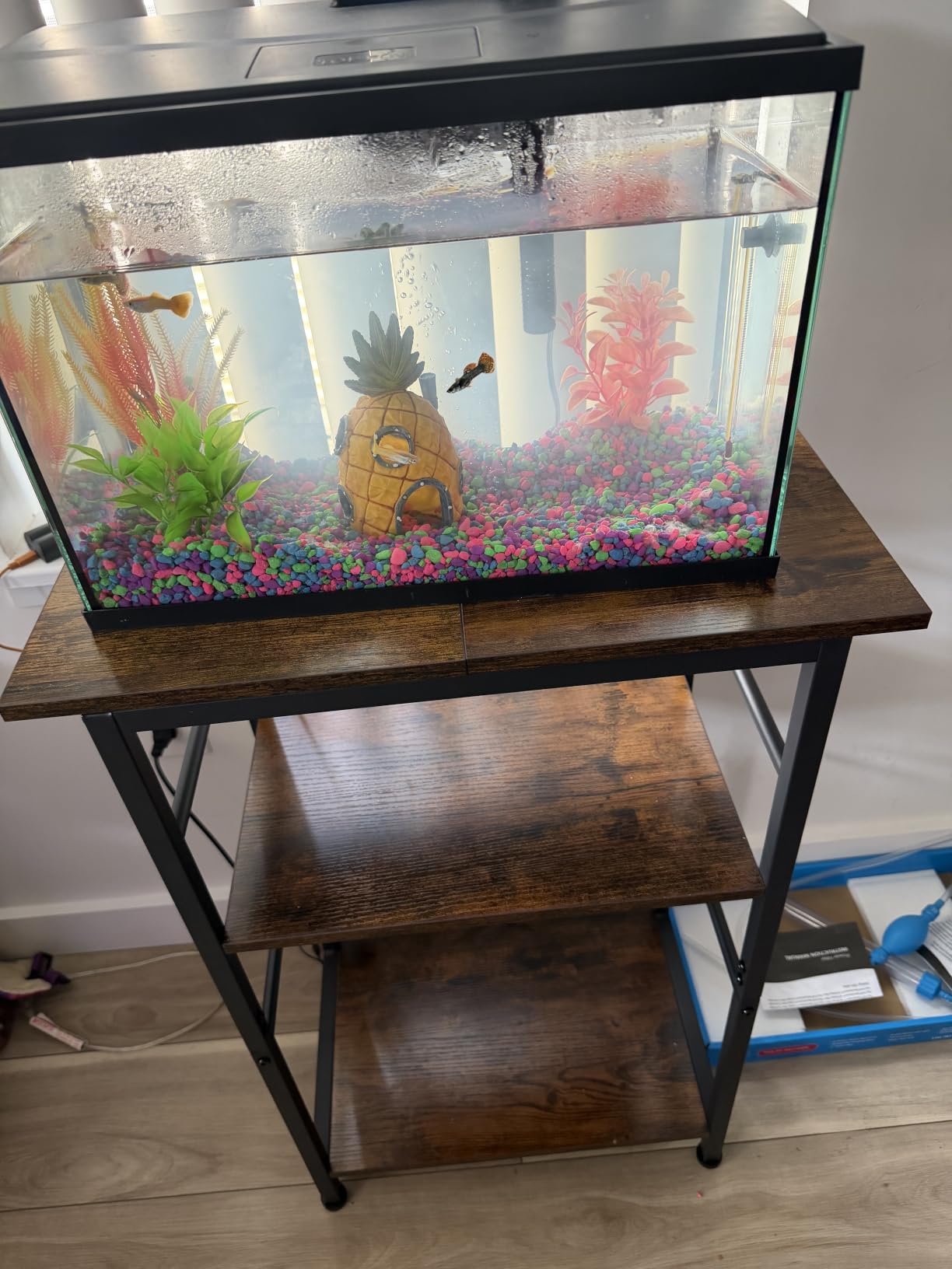 Snughome 10-20 Gallon Fish Tank Stand, Aquarium Stand 2-Tier Storage Shelves, Heavy Duty Terrarium Stand for Home Office Fish Tank Shelf, 24 L x 11.81 W x 30.71 H, Rustic Brown customer photo 1