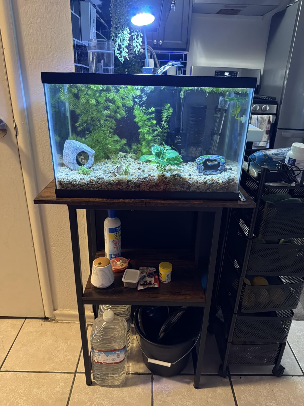 Snughome 10-20 Gallon Fish Tank Stand, Aquarium Stand 2-Tier Storage Shelves, Heavy Duty Terrarium Stand for Home Office Fish Tank Shelf, 24 L x 11.81 W x 30.71 H, Rustic Brown customer photo 2