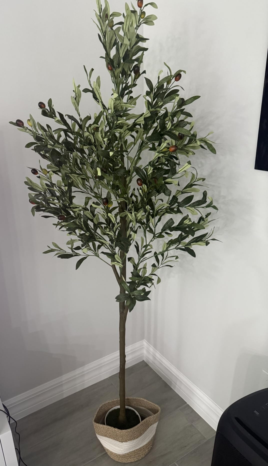 6FT Artificial Olive Tree Indoor Tall Faux with Planter&Basket | Large Fake Olive Silk Trees Realistic Olive Plants with Branches and Fruits for Home Decor Office Living Room customer photo 1