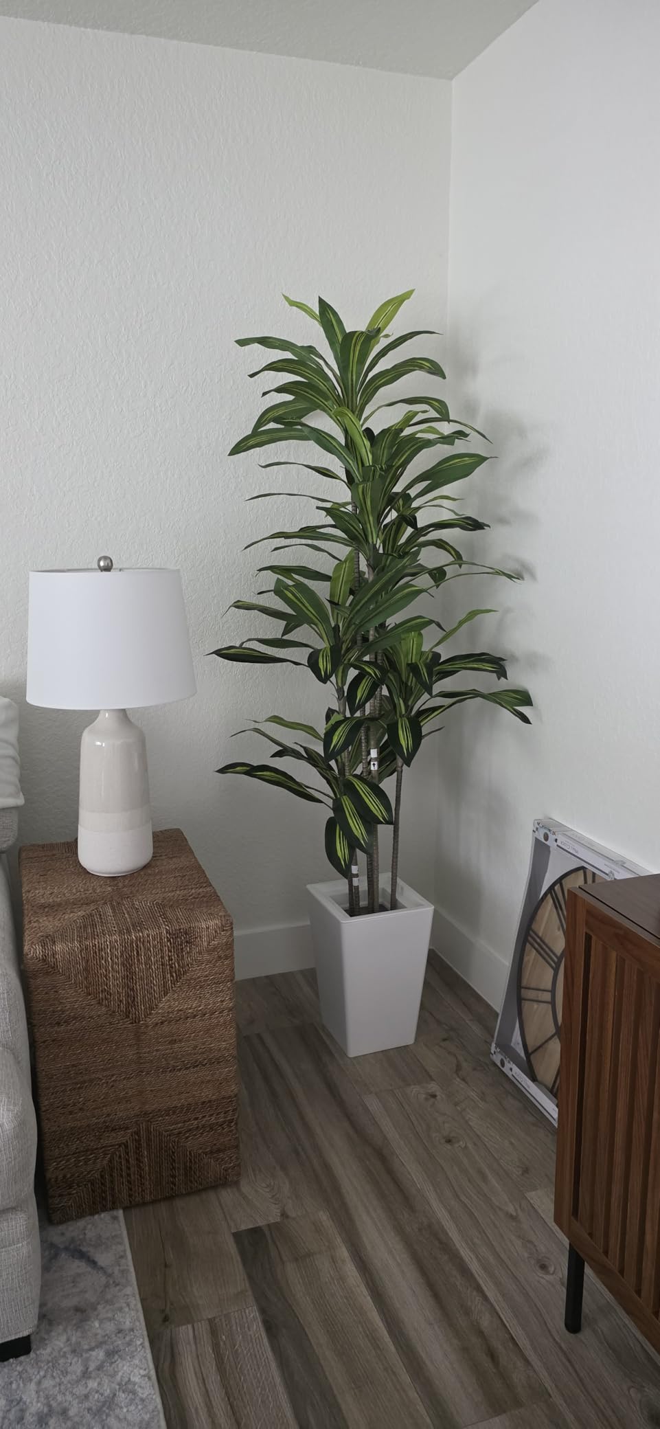 6FT Artificial Dracaena Tree, Fake Tree Indoor with White Tall Planter,Tall Artificial Plants Indoor,Artificial Silk Tree for Home Office Decor (White) customer photo 1