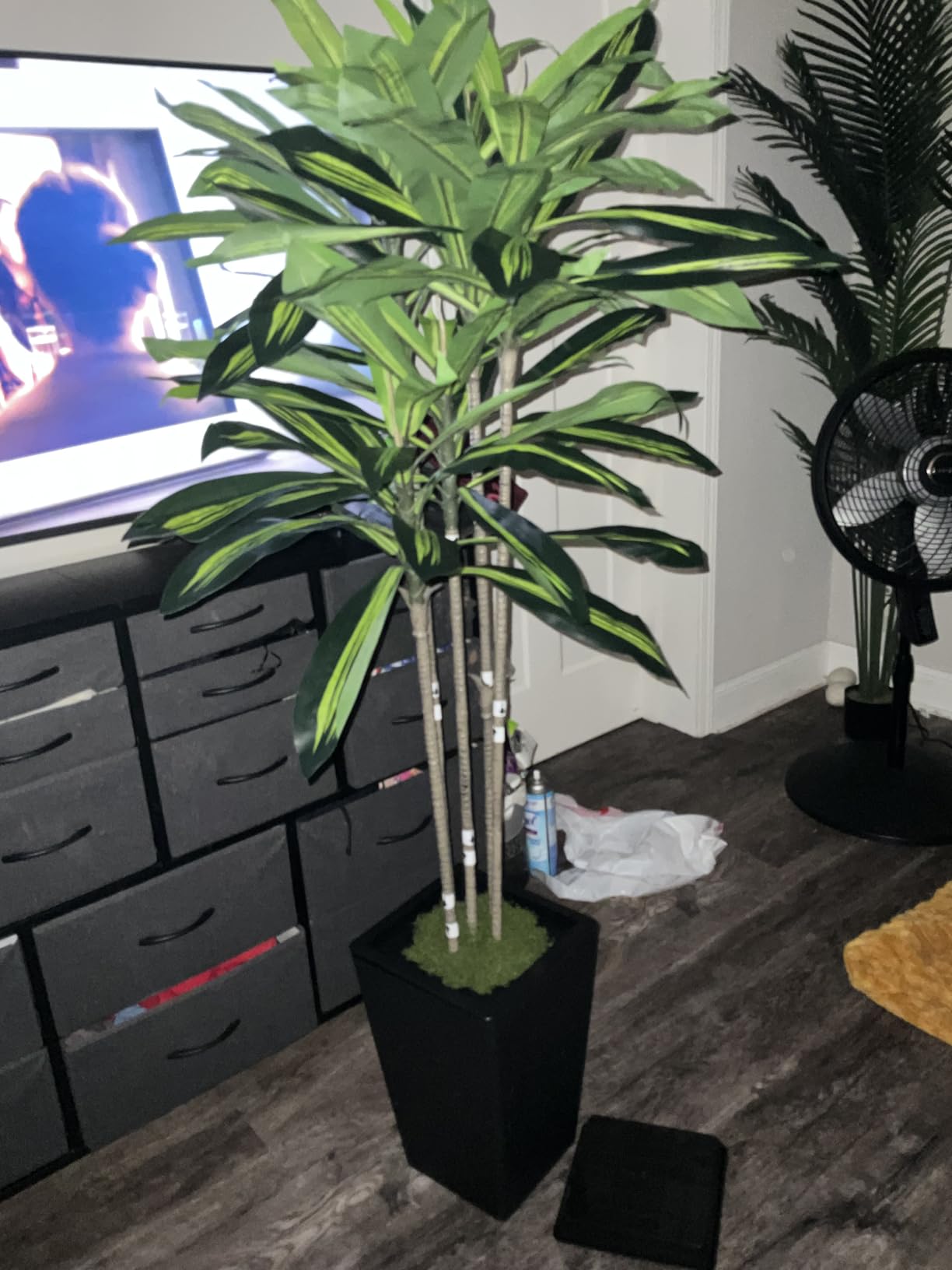 6FT Artificial Dracaena Tree, Fake Tree Indoor with White Tall Planter,Tall Artificial Plants Indoor,Artificial Silk Tree for Home Office Decor (White) customer photo 2