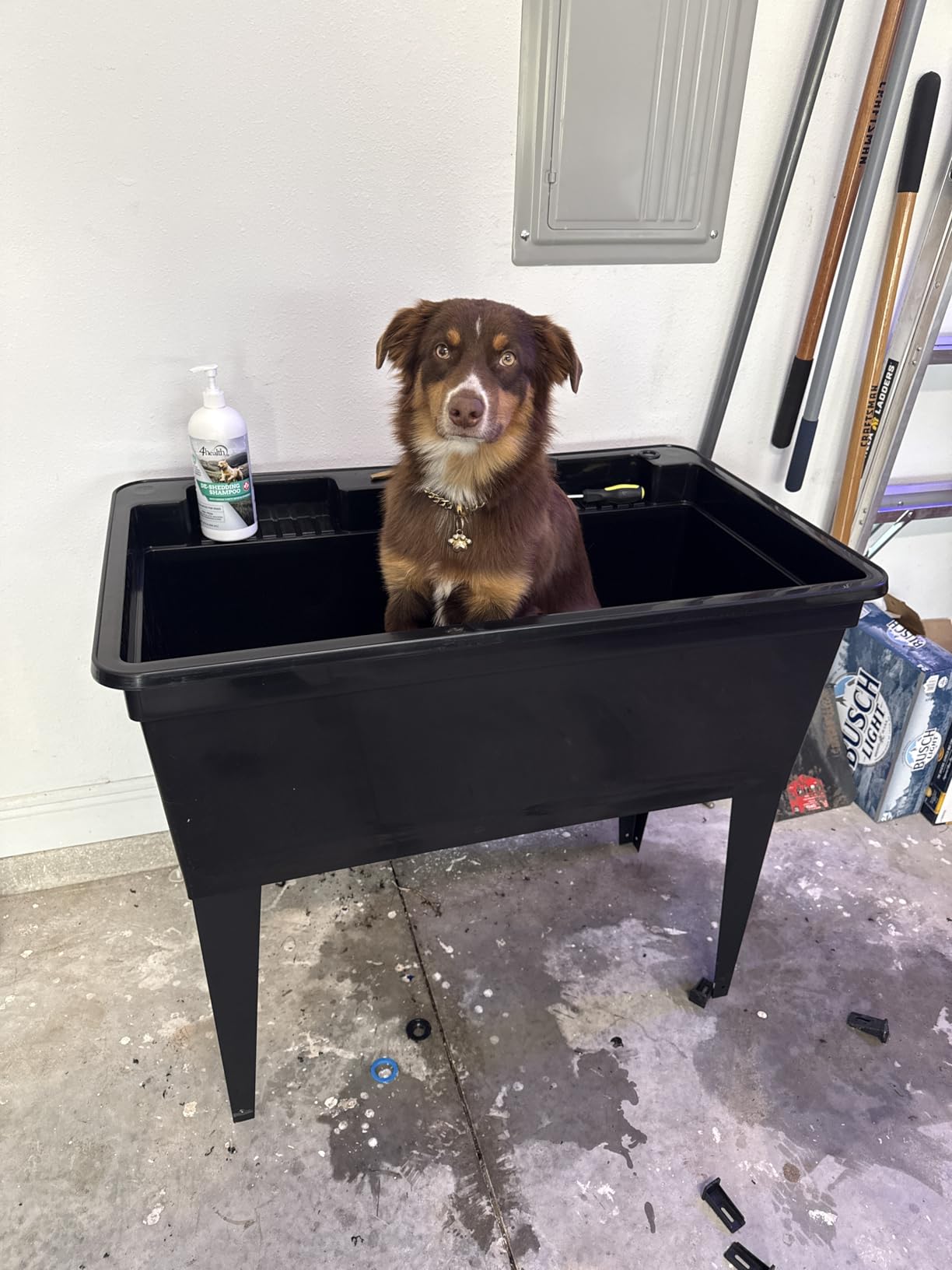Tehila Freestanding Double-Wide Utility Sink with Steel Legs & Black Pull-Out Faucet, Multi-Purpose Heavy-Duty Laundry Tub and Kitchen Sink for Homes & Business,Grey customer photo 1