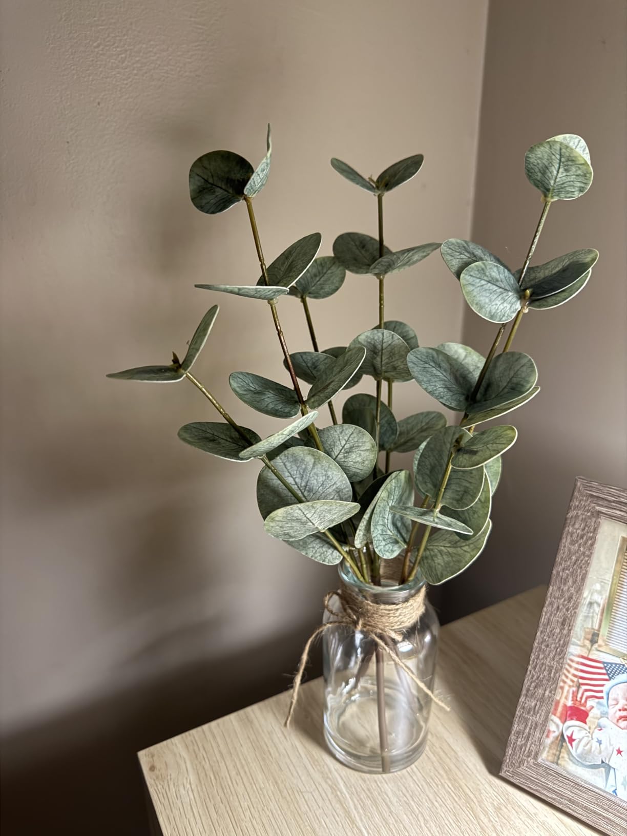 Bessol Artificial Eucalyptus Stems in Glass Vase with Faux Water, 13.5