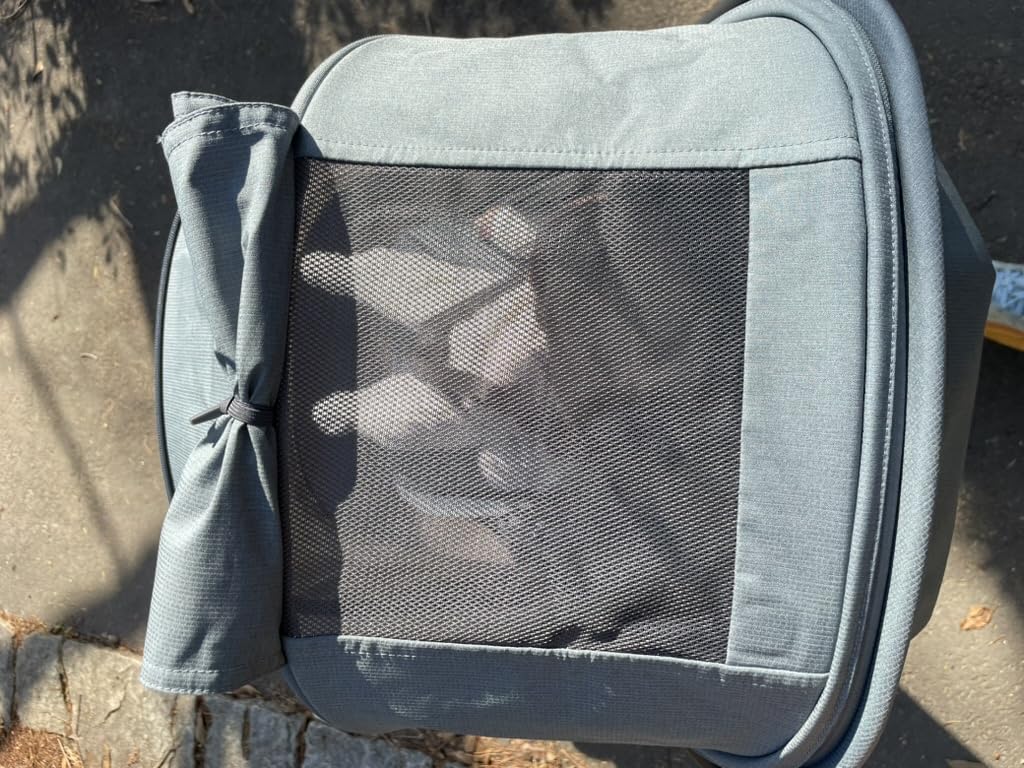 UPPAbaby Minu V3 Travel Stroller - Lightweight & Compact - Greyson customer photo 2