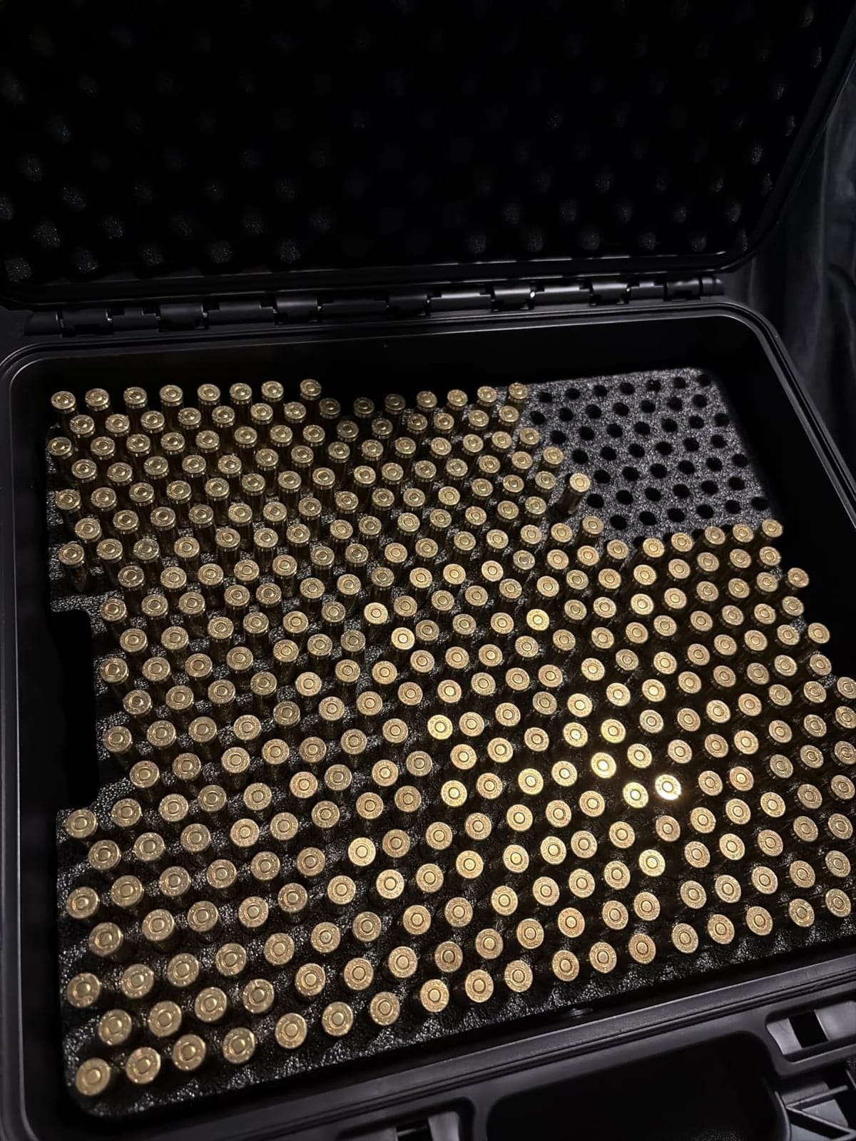 5.56mm Ammo Case Storage Box: 2-Layer Waterproof Rifle Ammo Case Organizer for .223 5.56 with Silica Gel Desiccant, Large Hard Shell Bullet Organizer with Custom Foam for Shooting Gear Transport customer photo 2