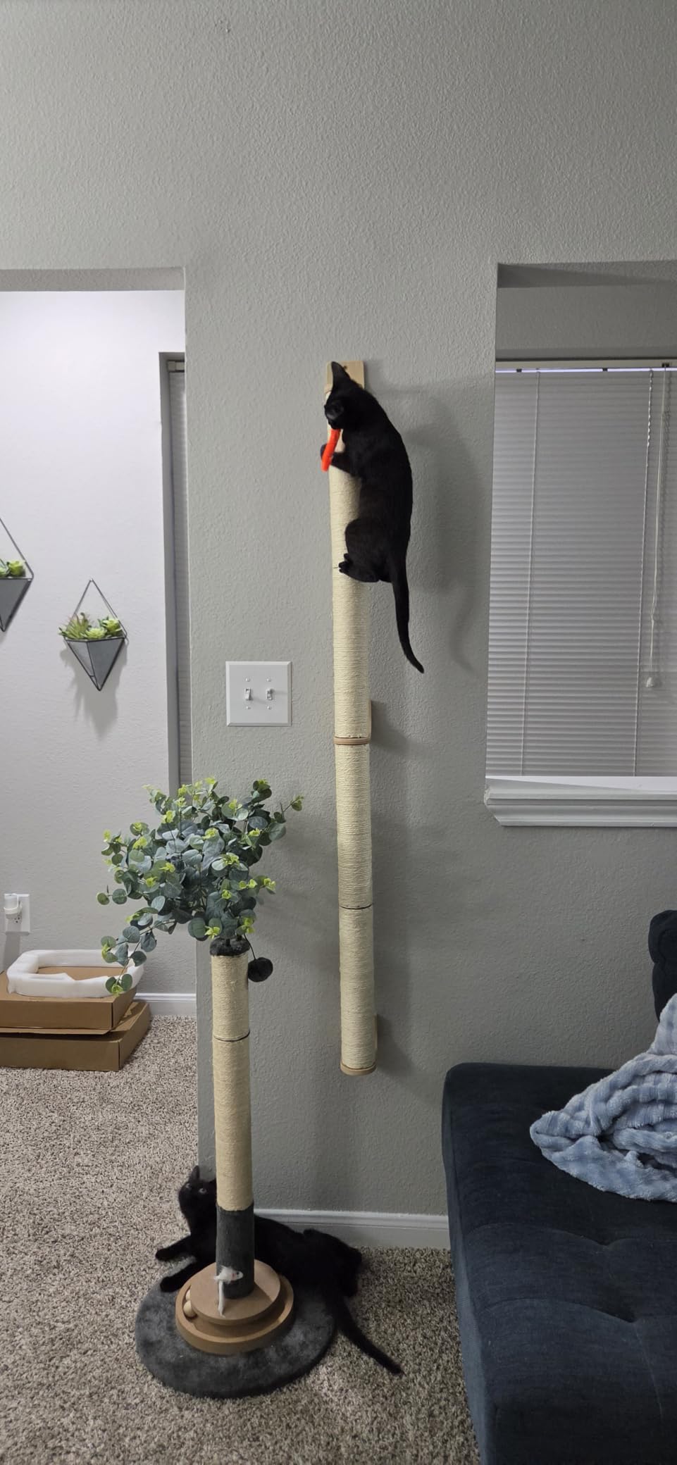FUKUMARU Cat Wall Scratcher, 60
