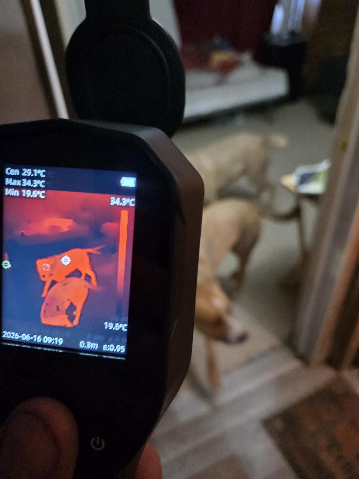 Thermal Camera, 240 x 240 TISR Resolution for Home Inspection | 25Hz Refresh Rate, -4°F to 1022°F Temp Range with High/Low Temperature Alarm, 50°FOV Handheld Thermal Imaging Camera customer photo 1