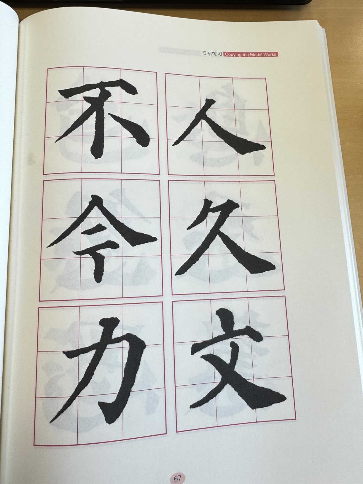 Chinese Calligraphy Set Japanese Calligraphy Kit for Beginners-Red customer photo 1