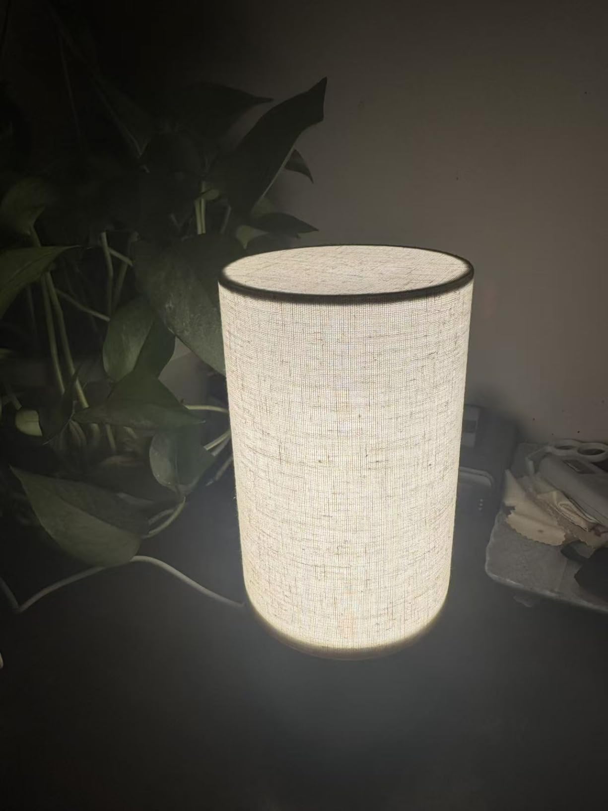 Caromolly Light Therapy Lamp, Happy Lamp 10,000 LUX UV Free with 3 Color Temperature & 5 Brightness Level, Full Spectrum Light Wood Base Round Flaxen Fabric Shade for Home, Office, 4 inch x 8.4 inch customer photo 1