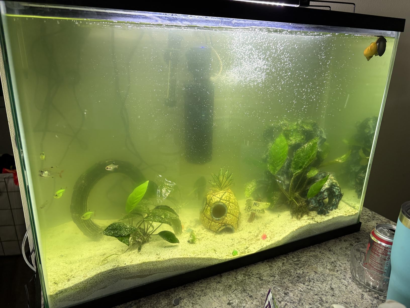 300GPH Aquarium Filter, UV Sterilizer for Aquarium for 45-120 Gallon | Built-in Pump Filter for Green Water Algae Clean, Ultra-Silent Green Killing Machine Fish Tank & Turtle Tank Deodorization customer photo 1