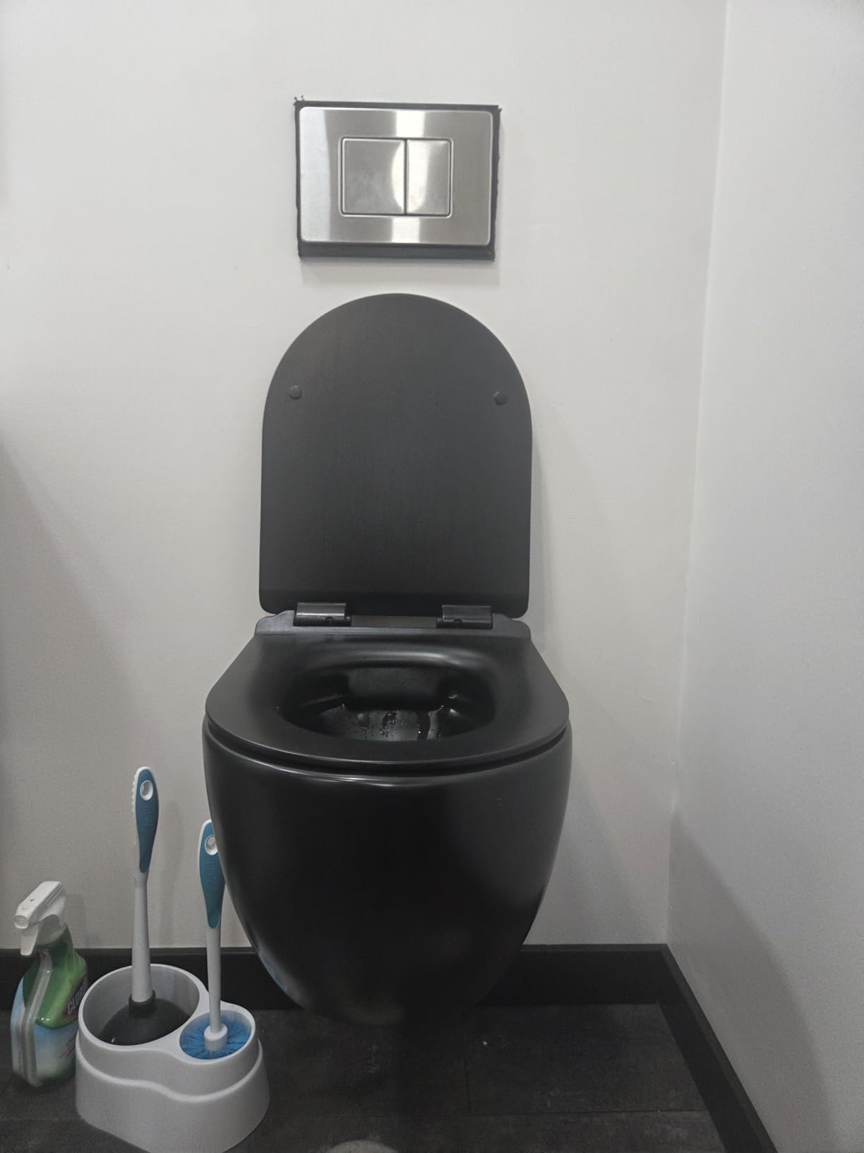 Eridanus Wall Hung Toilet with 2x6 in Wall Tank Carrier, Dual Flush, White - Floating Bowl Design, Rimless Bowl, Easy Clean, Space Saving Design, Soft Close Seat, Carrier & Flush Plate Included customer photo 1