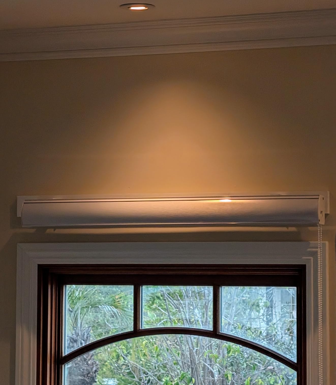 Cordless Zebra Blinds for Windows, 23