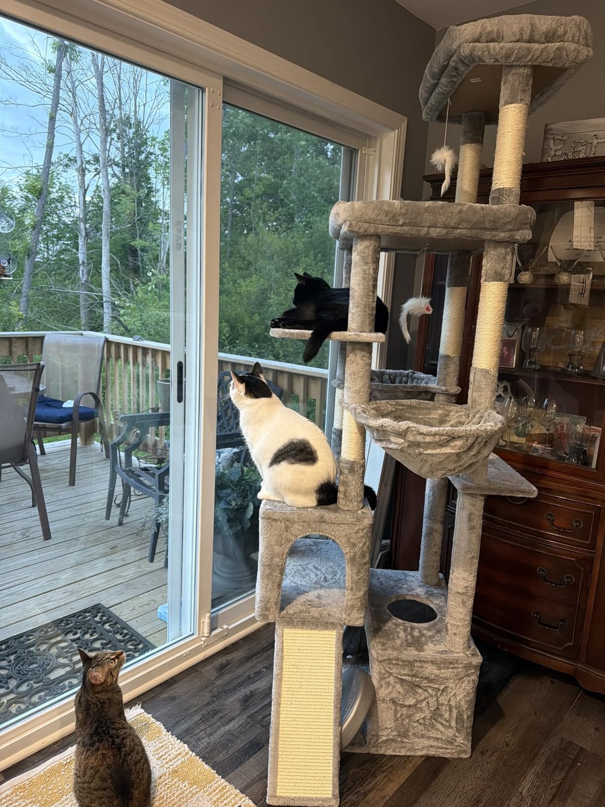 Globlazer Heavy Duty Cat Tree 78 inch Sturdy Cat Tower for 20lbs Large Adult Cats, Symmetrical Aesthetic Big Cat Tree with Extra Large Platform, 2 Scratching Boards, Z78, Light Grey customer photo 1