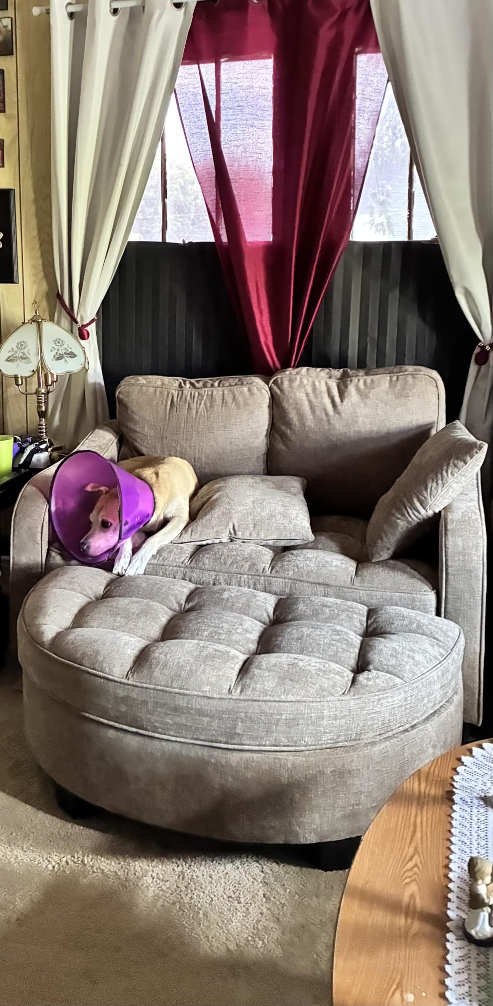 Oversized Chair and A Half, Chenille Tufting Accent Comfy Reading Sofa Chair with Storage Ottoman, Upholstered Loveseat Chaise Lounge Sofa with Adjustable Back for Living Room, Office, Sunroom, Grey customer photo 2
