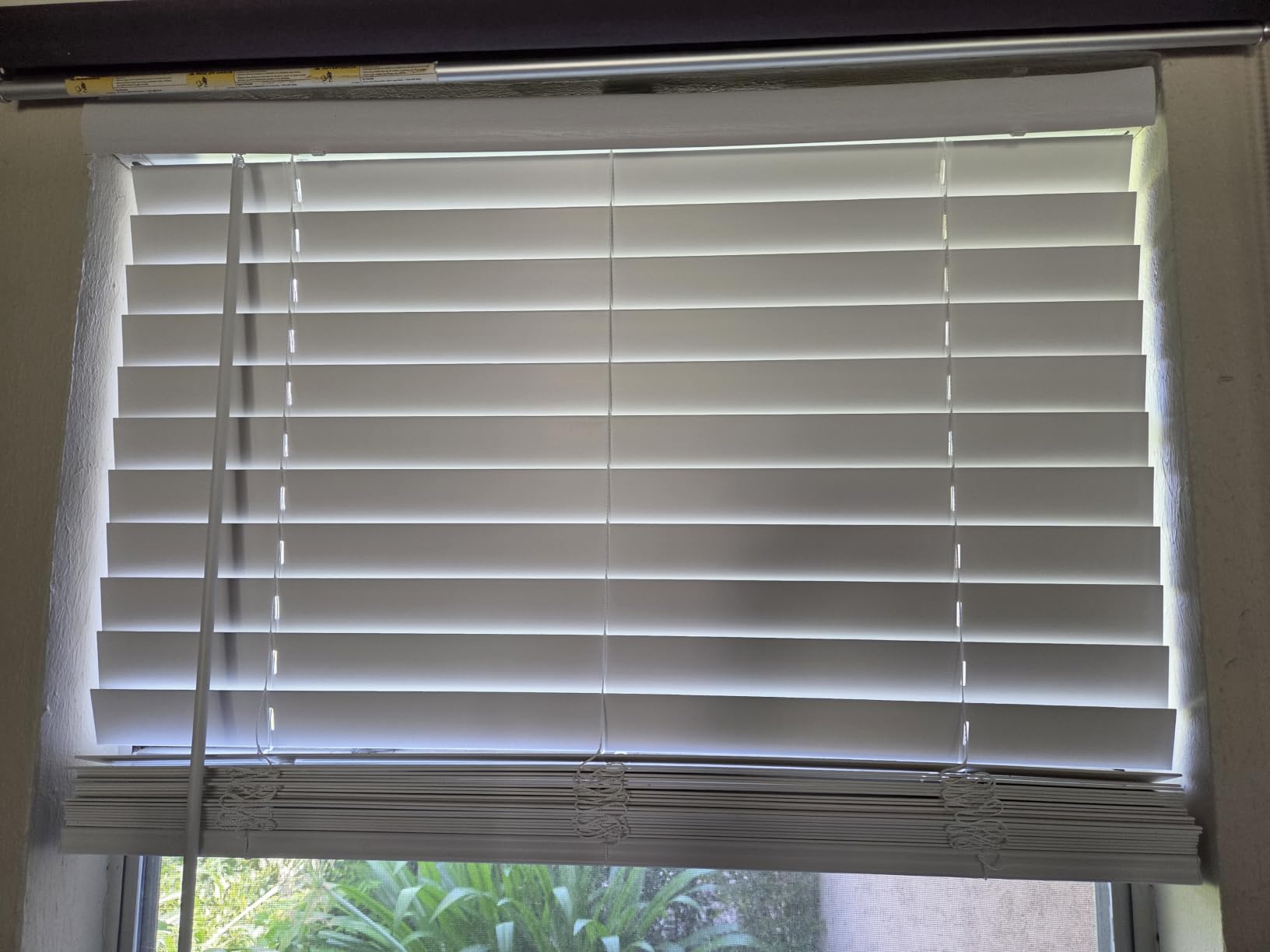 AOSKY 2 Inch Cordless Faux Wood Blinds, Indoor Window Shades, 12