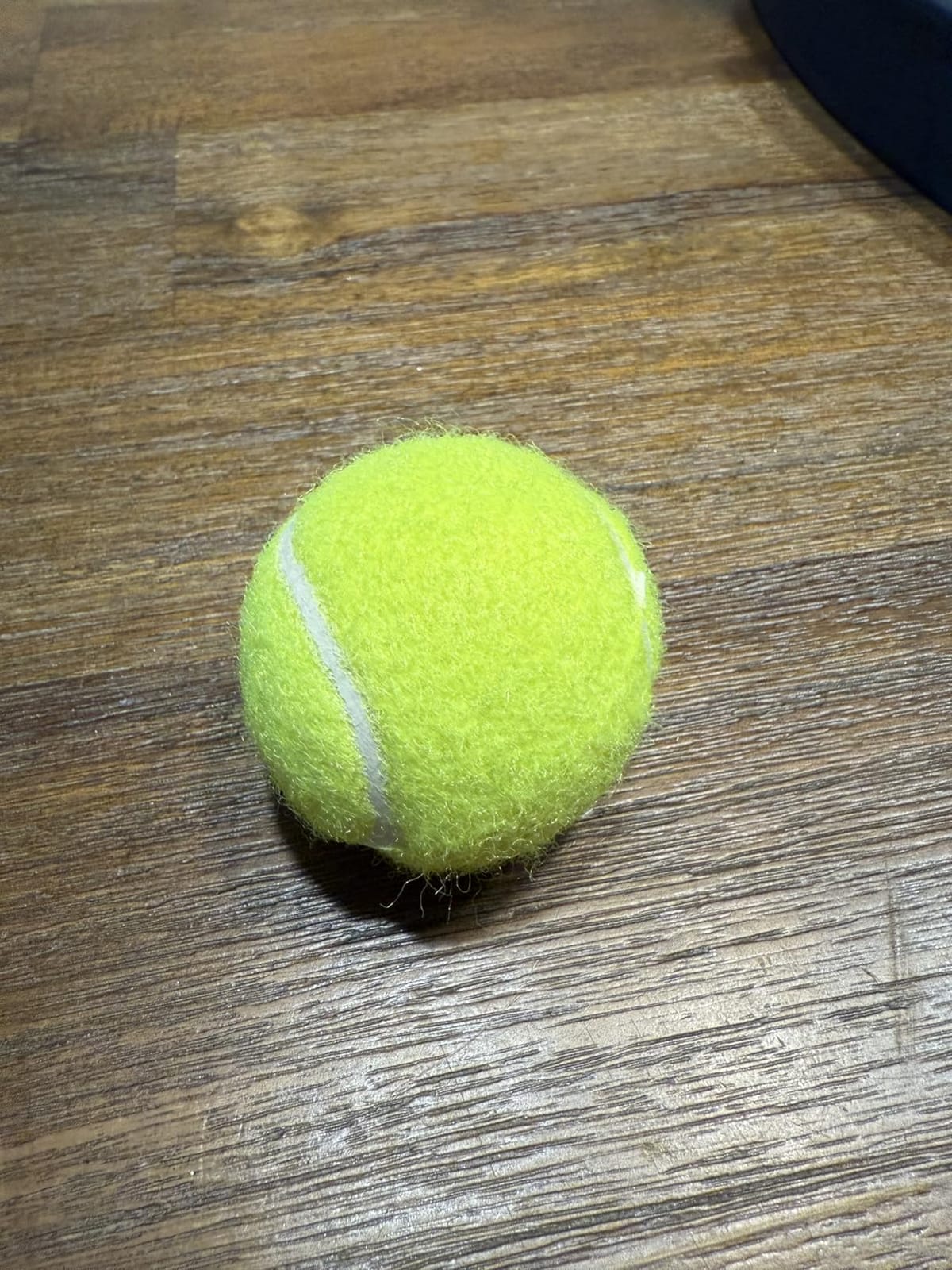 Automatic Dog Ball Launcher: Upgraded Auto/Manual Pet Ball Thrower Toy for Dog Indoor/Outdoor Play Include 4 Chew-Resistant Balls - Home,Park,Yard Dog Self Play Companion for Dog Parent (Blue) customer photo 2