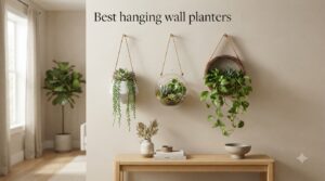 Best hanging wall planters