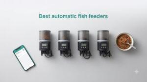 Best automatic fish feeders