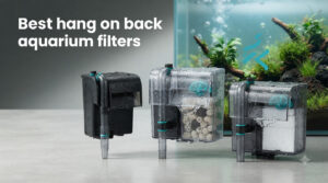 Best hang on back aquarium filters